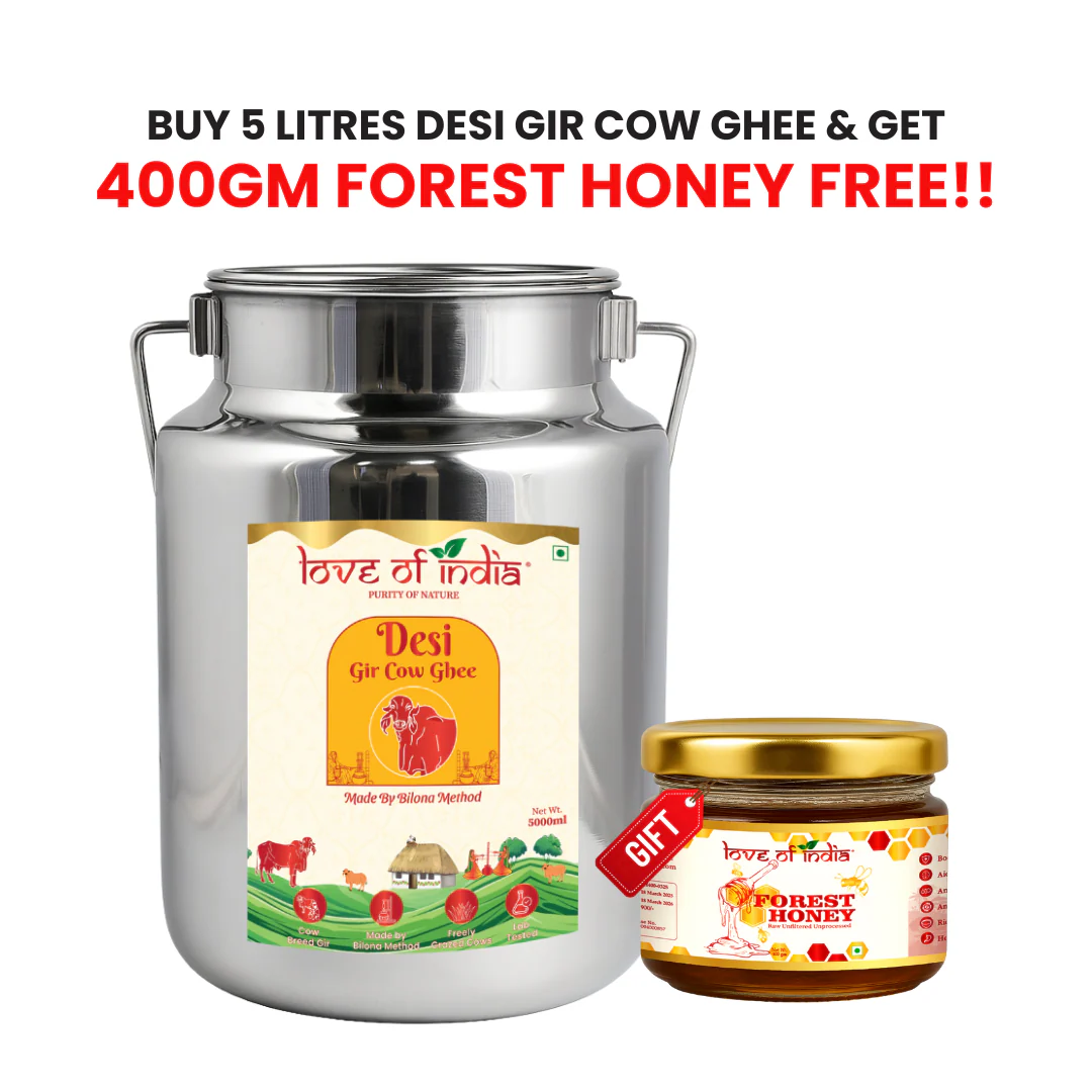 5 Liter Desi Vedic Gir Cow Ghee Steel Can (Dolchi) made by Bilona method - Image 16