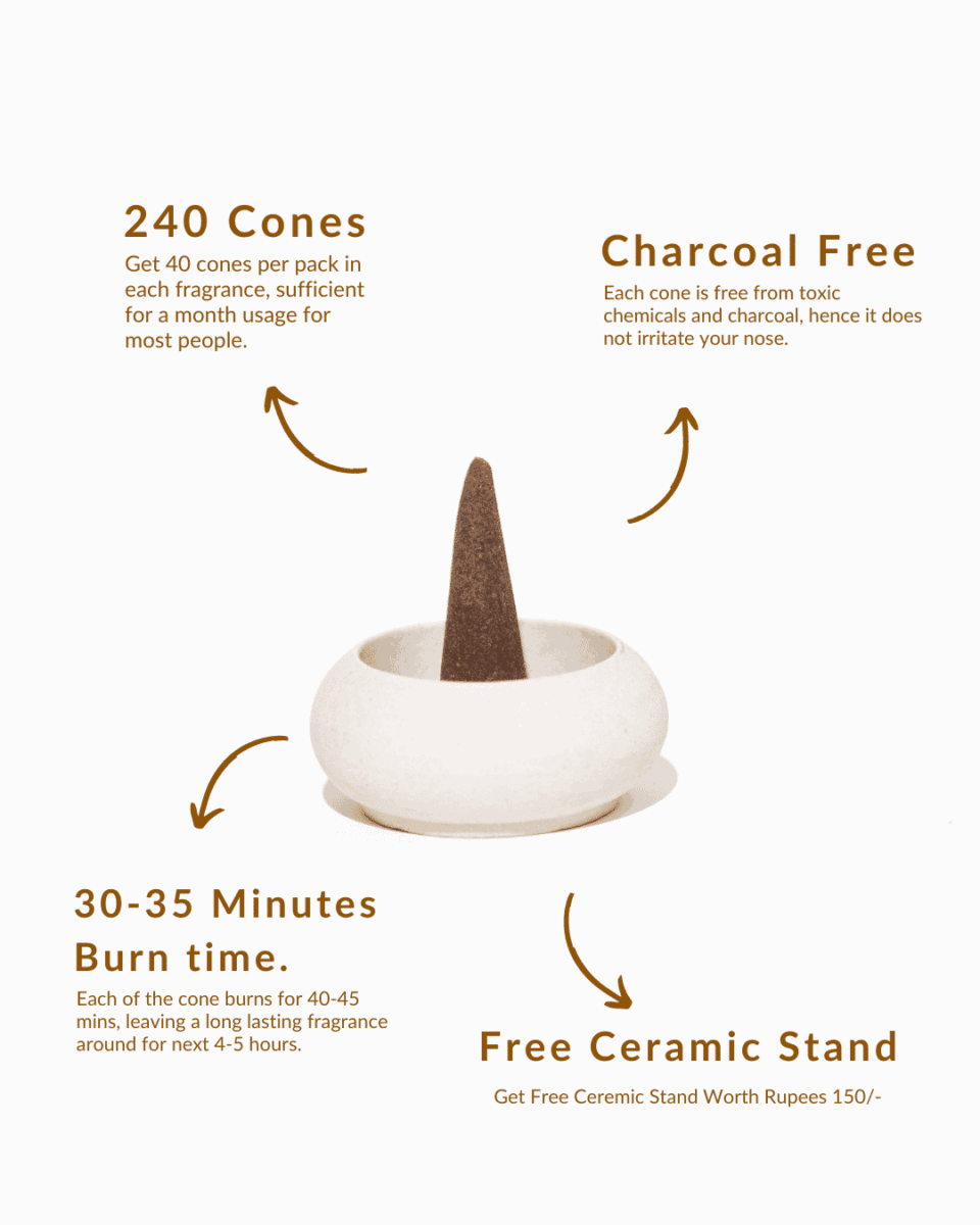 6-in-1 Dhoop Cone Combo - Image 2