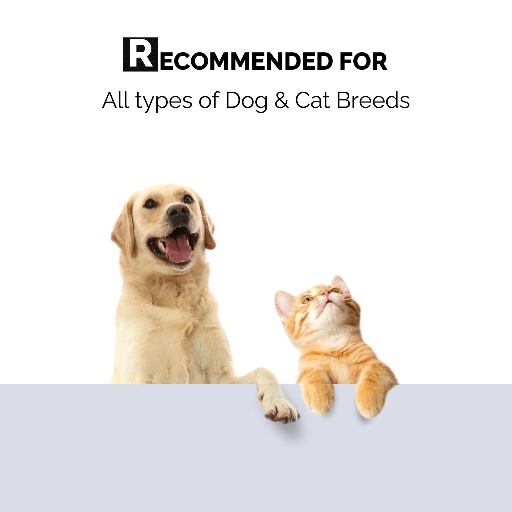 7 in 1 Grooming Kit - Image 5