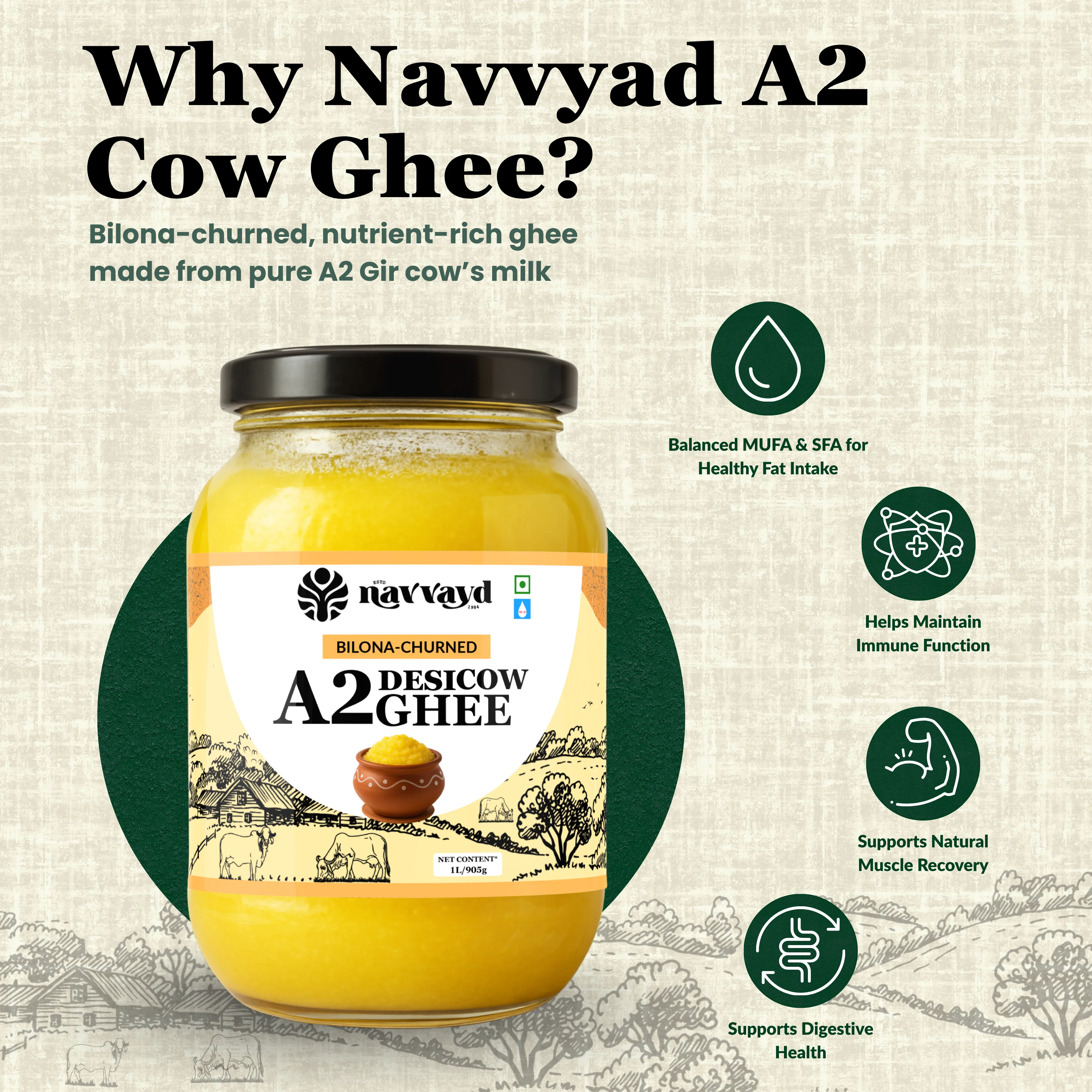 A2 Desi Cow Ghee - Bilona Churned - Image 4