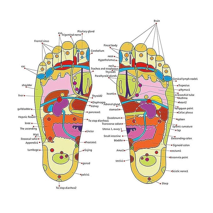 Acupressure Yoga Slippers for Full Body Blood Circulation and Foot Massage - Image 6