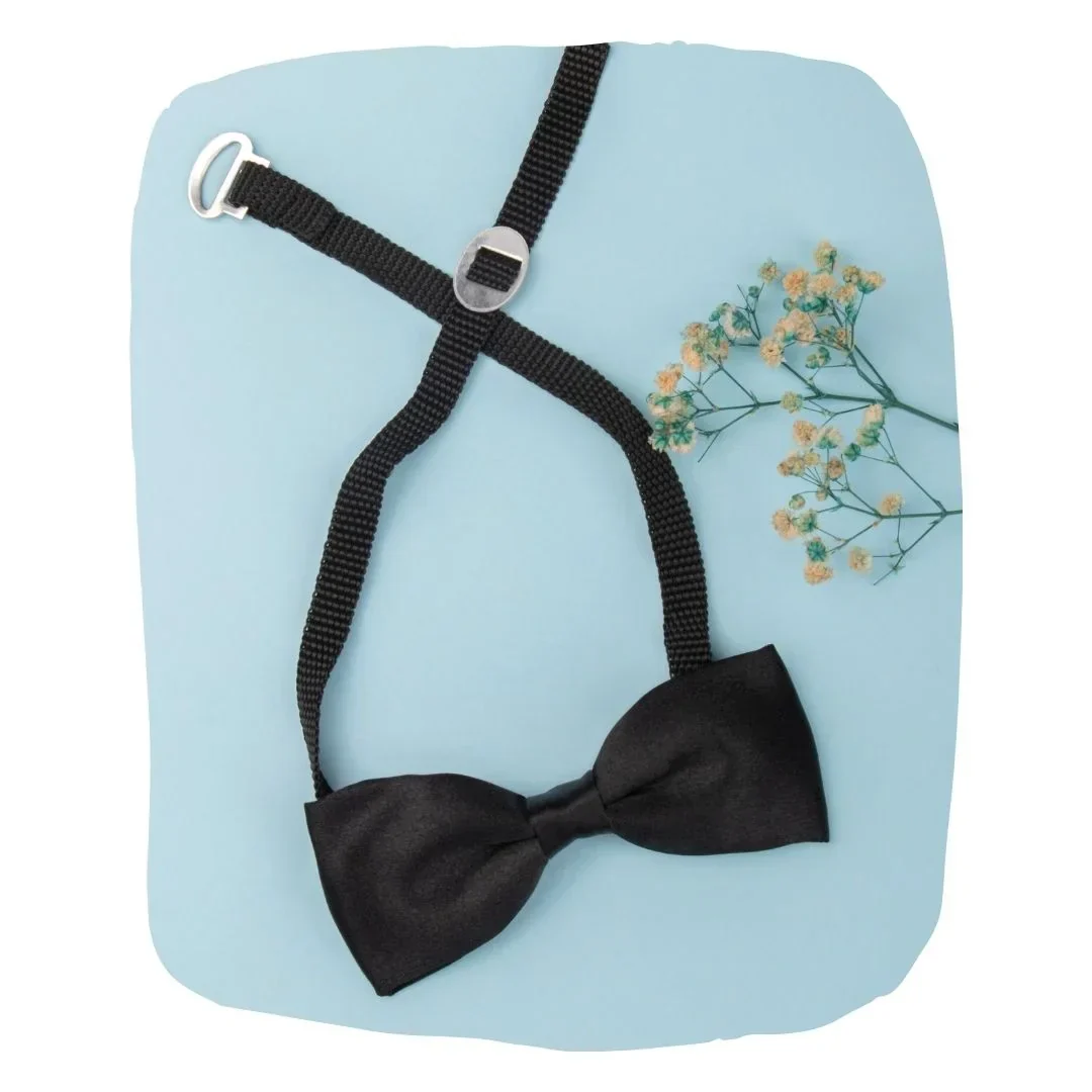 Adjustable Satin Bow Tie for Boys – Black (Pre-Tied & Clip-On) - Image 14