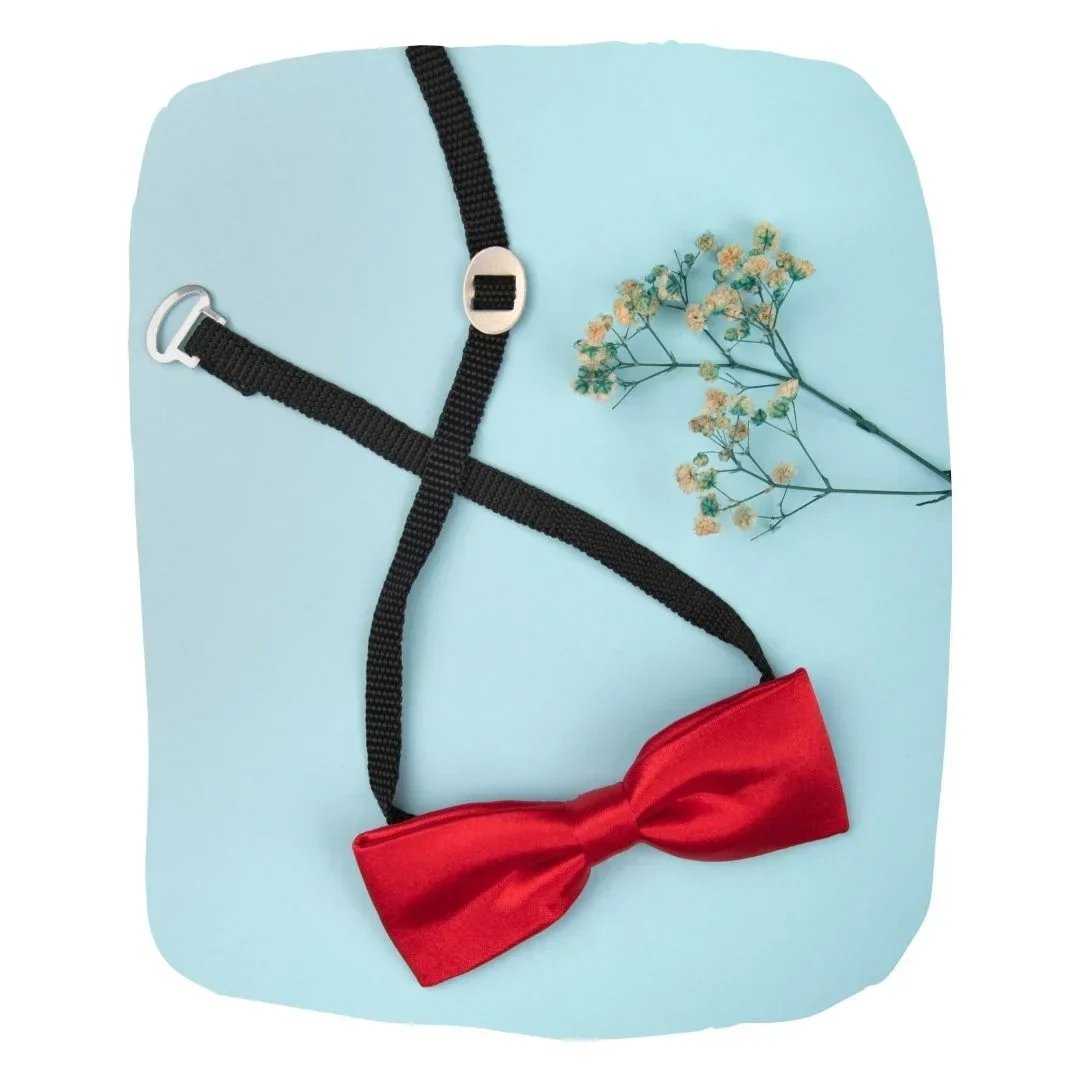 Adjustable Satin Bow Tie for Boys – Red (Pre-Tied & Clip-On) - Image 9