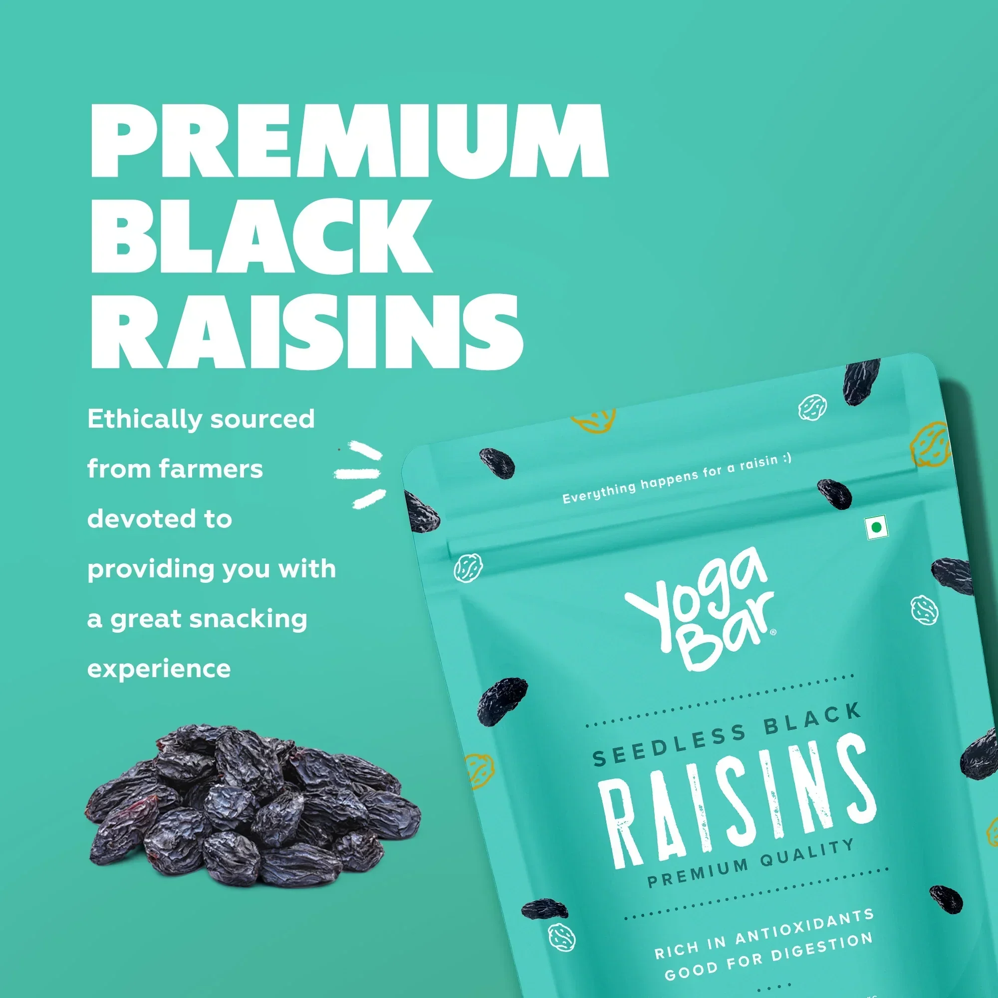 Afghani Black Raisins 500g - Image 2
