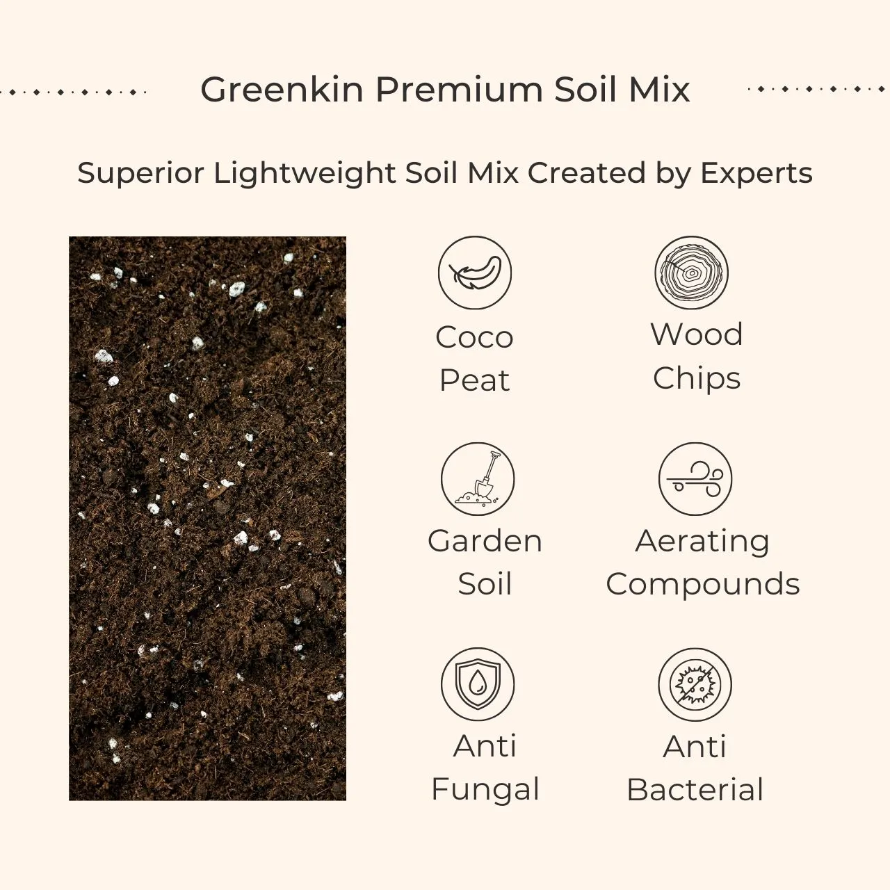 Air Purifying Plants Combo for Home in Eco Pots (Small) - Image 4