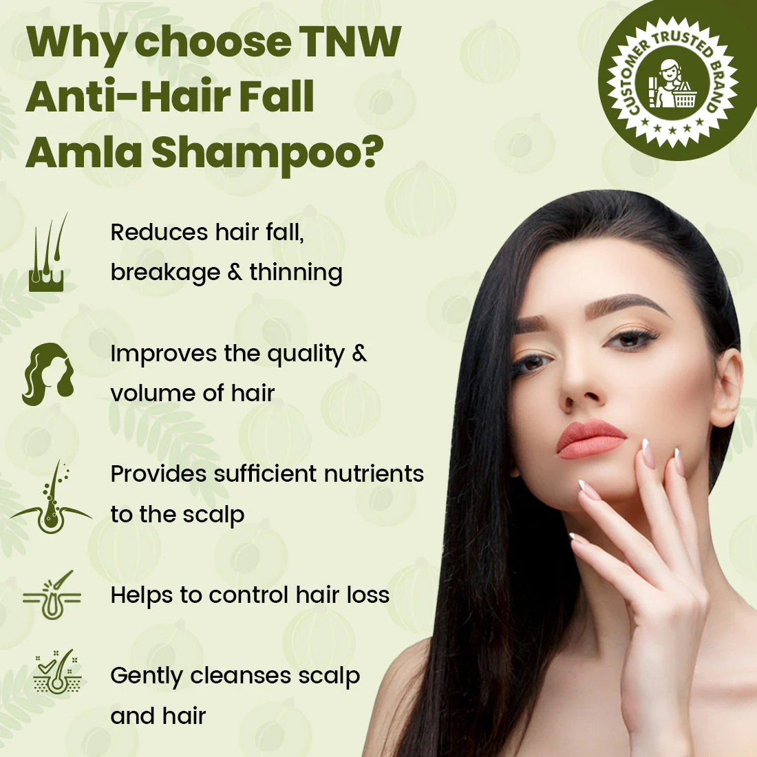 Amla Shampoo (Anti-Hair Fall Shampoo with Natural Ingredients). - Image 4