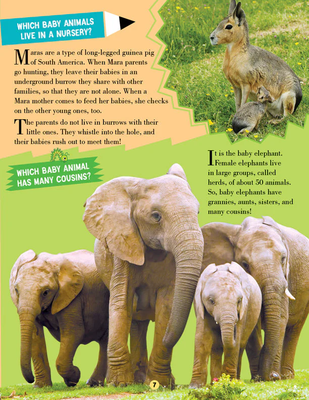 Animal World Children Encyclopedia for Age 5 - 15 Years- All About Trivia Questions and Answers - Image 6