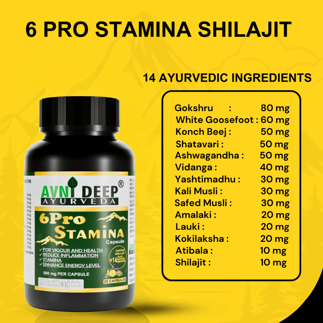 Avnideep Pure Shilajit Capsules – Ayurvedic Wellness Support | 30 Capsules - Image 9