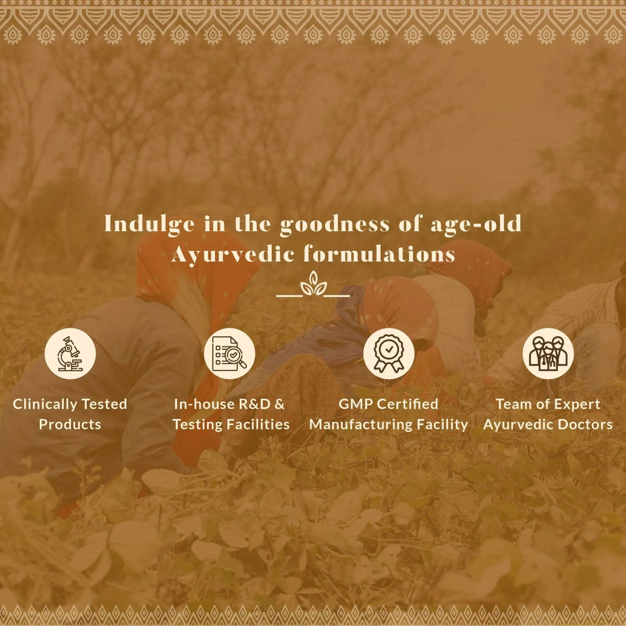 Ayurveda Special - Image 4