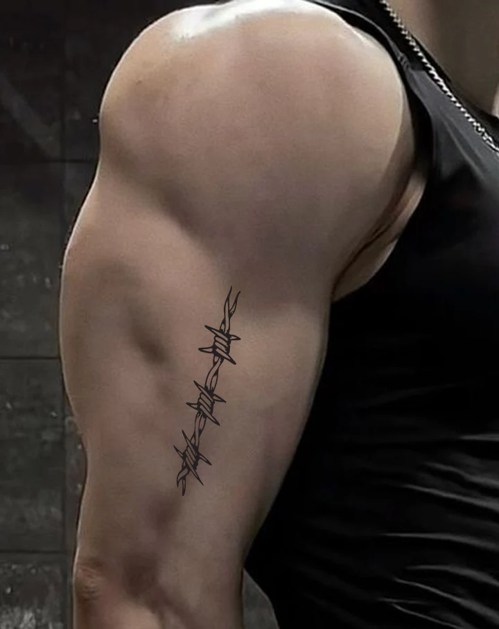 Barbed Wire - Image 3