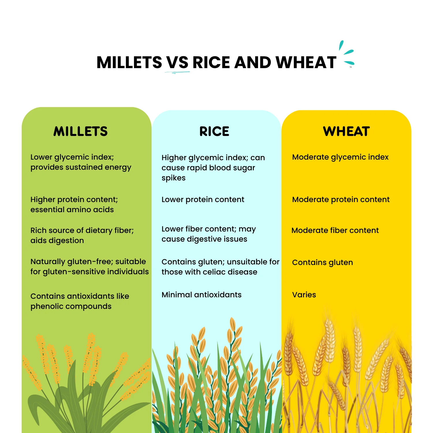 Barnyard Millet - Image 2