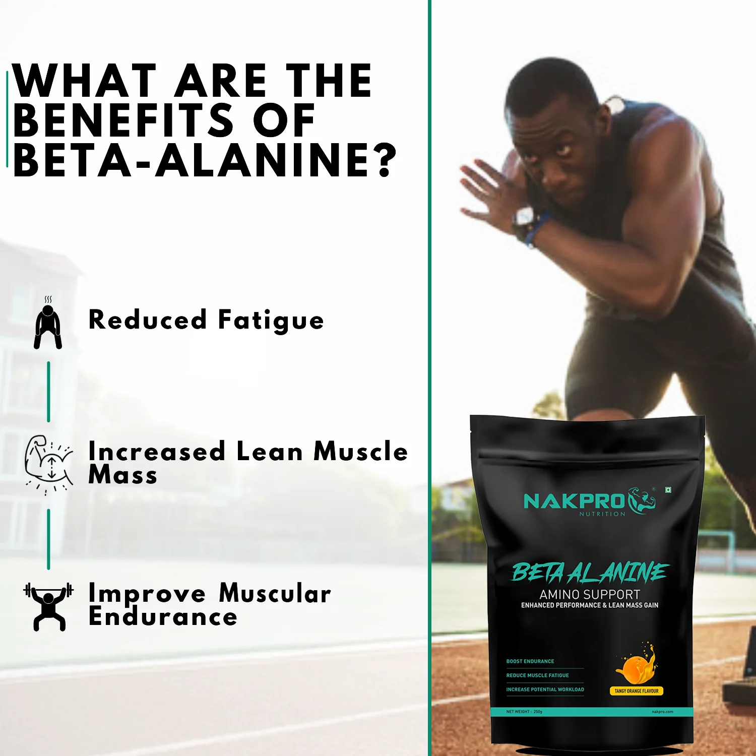 Beta Alanine | Amino Acid Supplement - Image 51