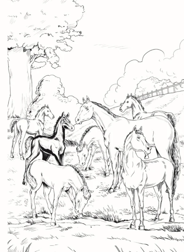 Black Beauty - Illustrated Abridged Classics for Children with Practice Questions - Image 4
