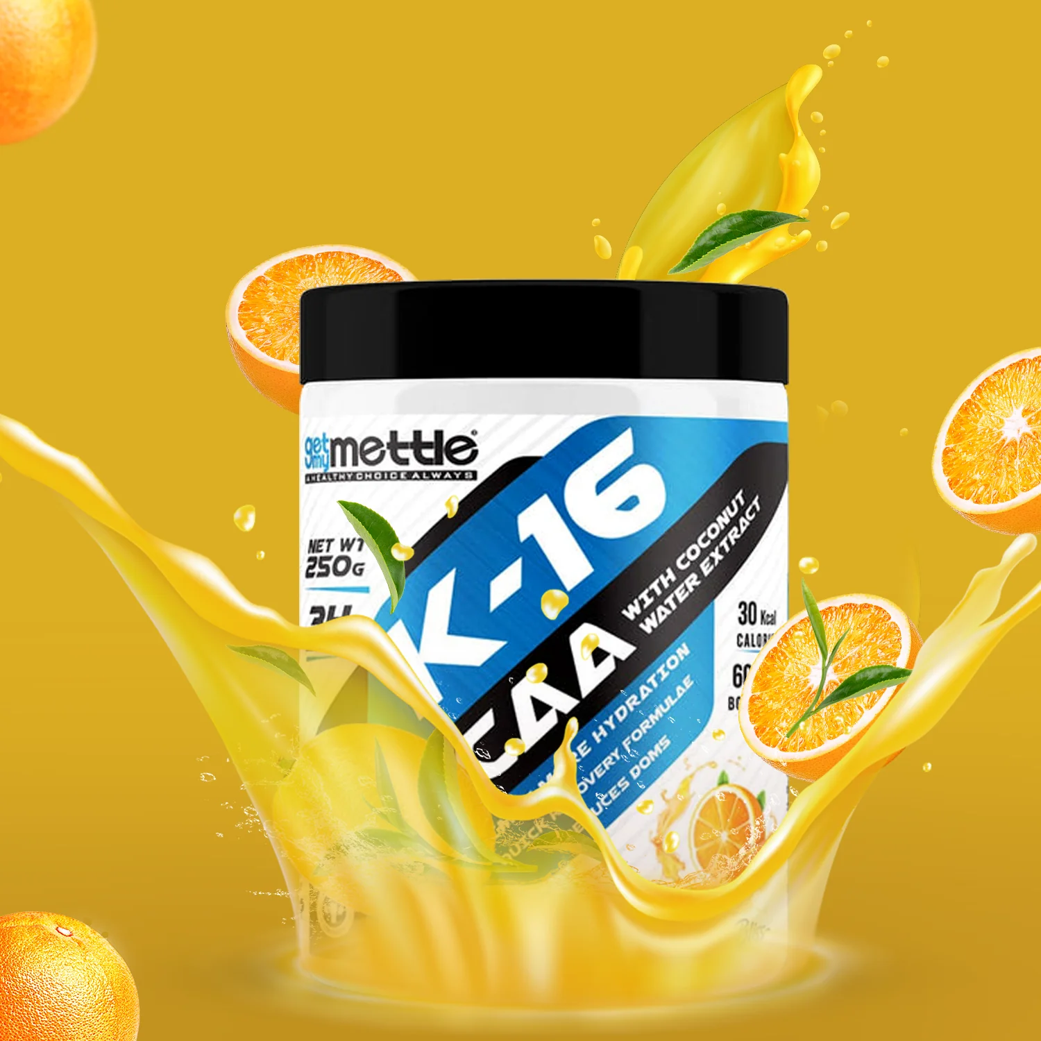 Blaze Whey  K-16 BCAA With Coconut Water Extract Combo 1kg | 250g - Image 13