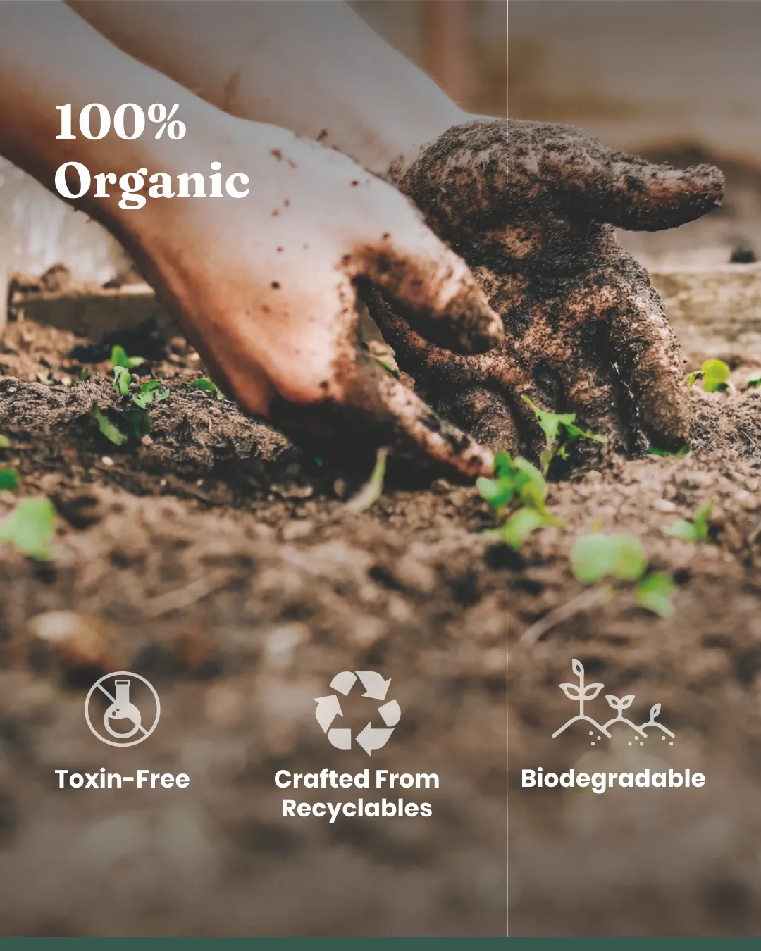 Bloom Mix Soil - Image 5