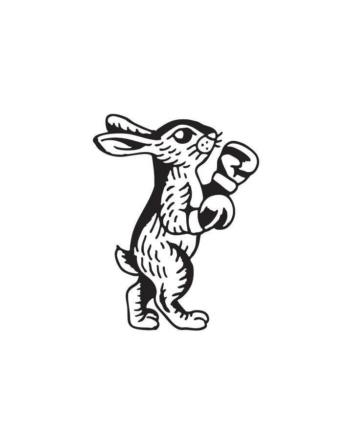 Boxing Bunny