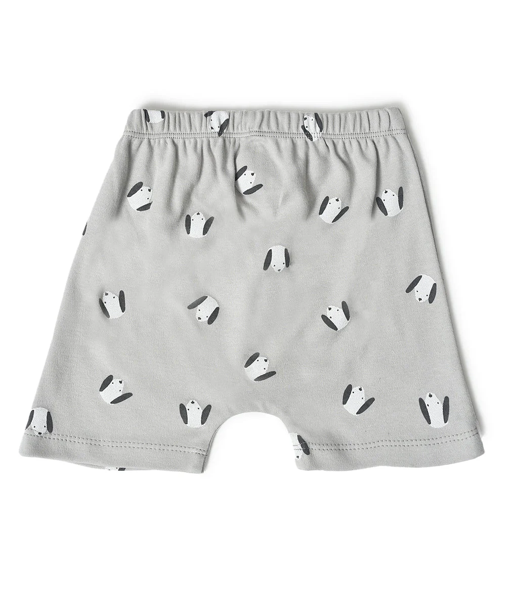 Buddy Comfy Shorts For Baby - Pack Of 3 - Image 3