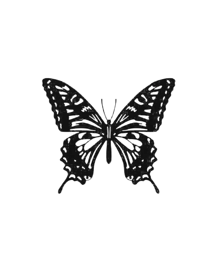 Butterfly whispers - Image 8