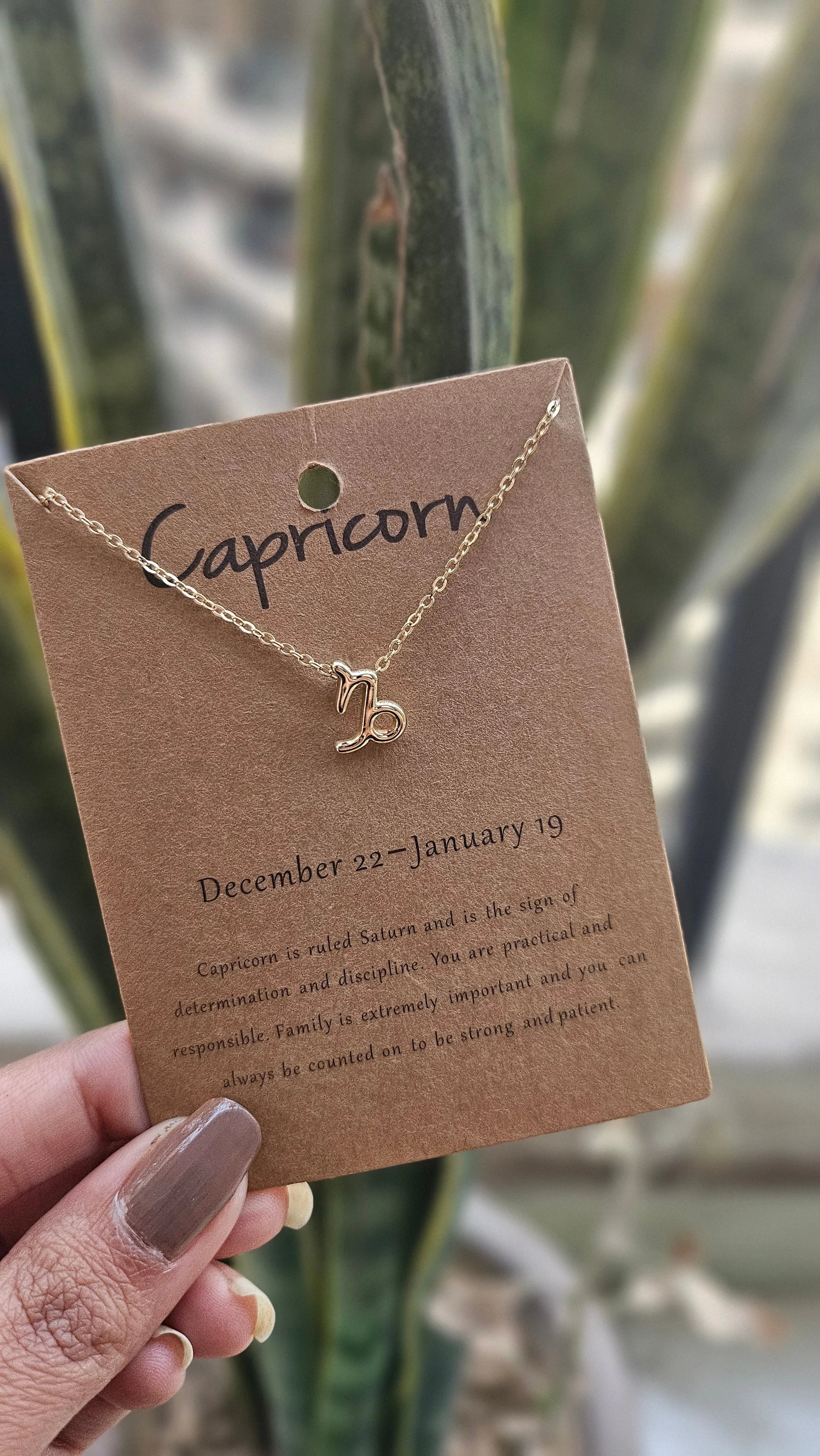 Capricorn Constellation Necklace - Image 2