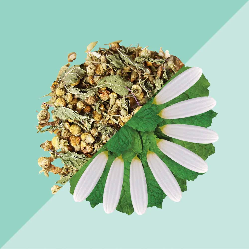 Chamomile Mint Iced Tea - Image 3
