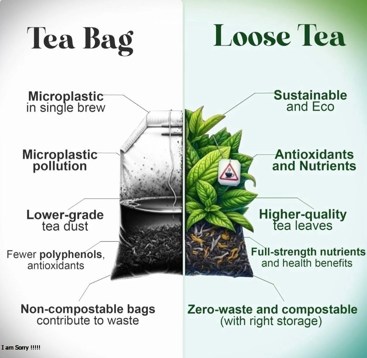 Chamomile tea - Image 3