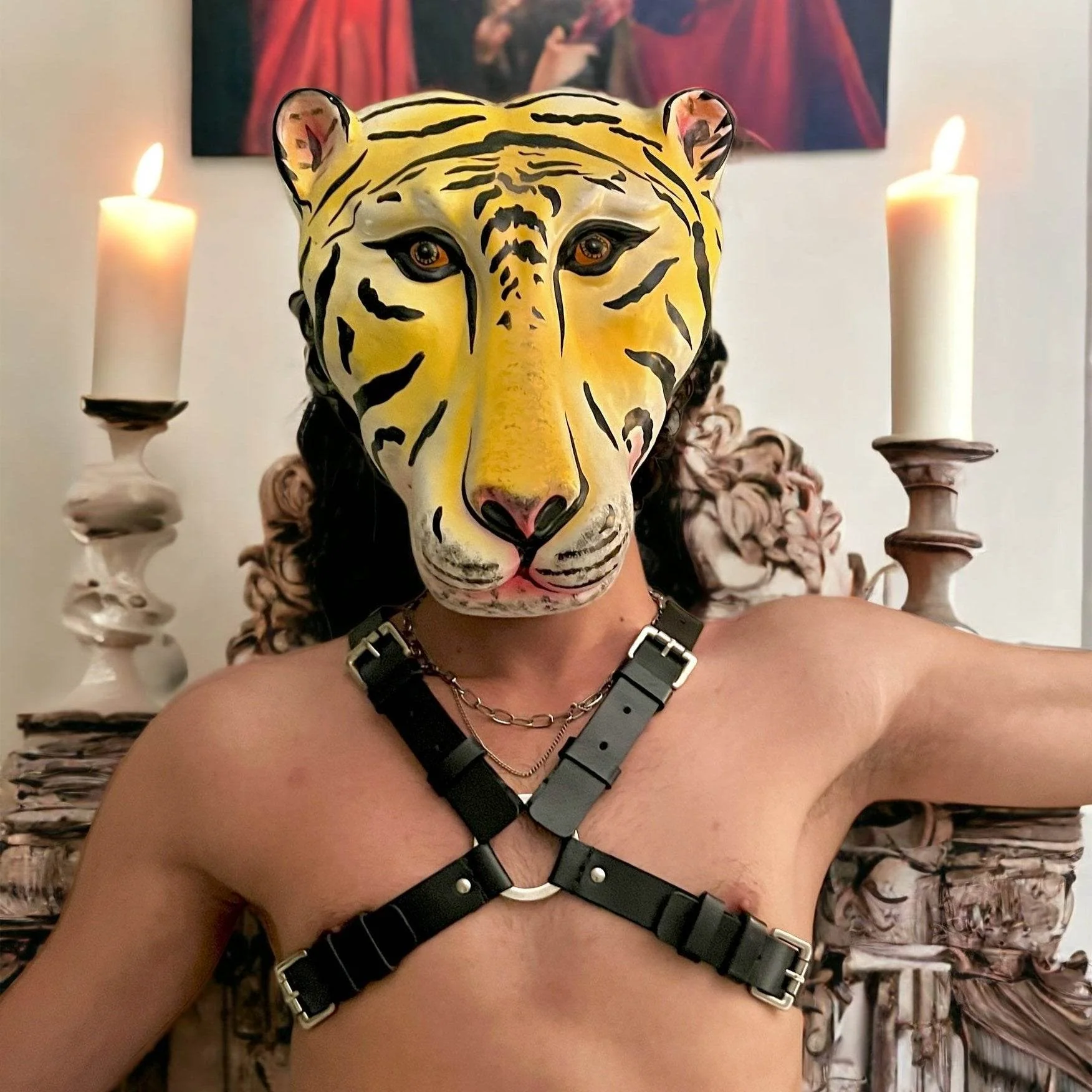 Classic X Harness - Image 2