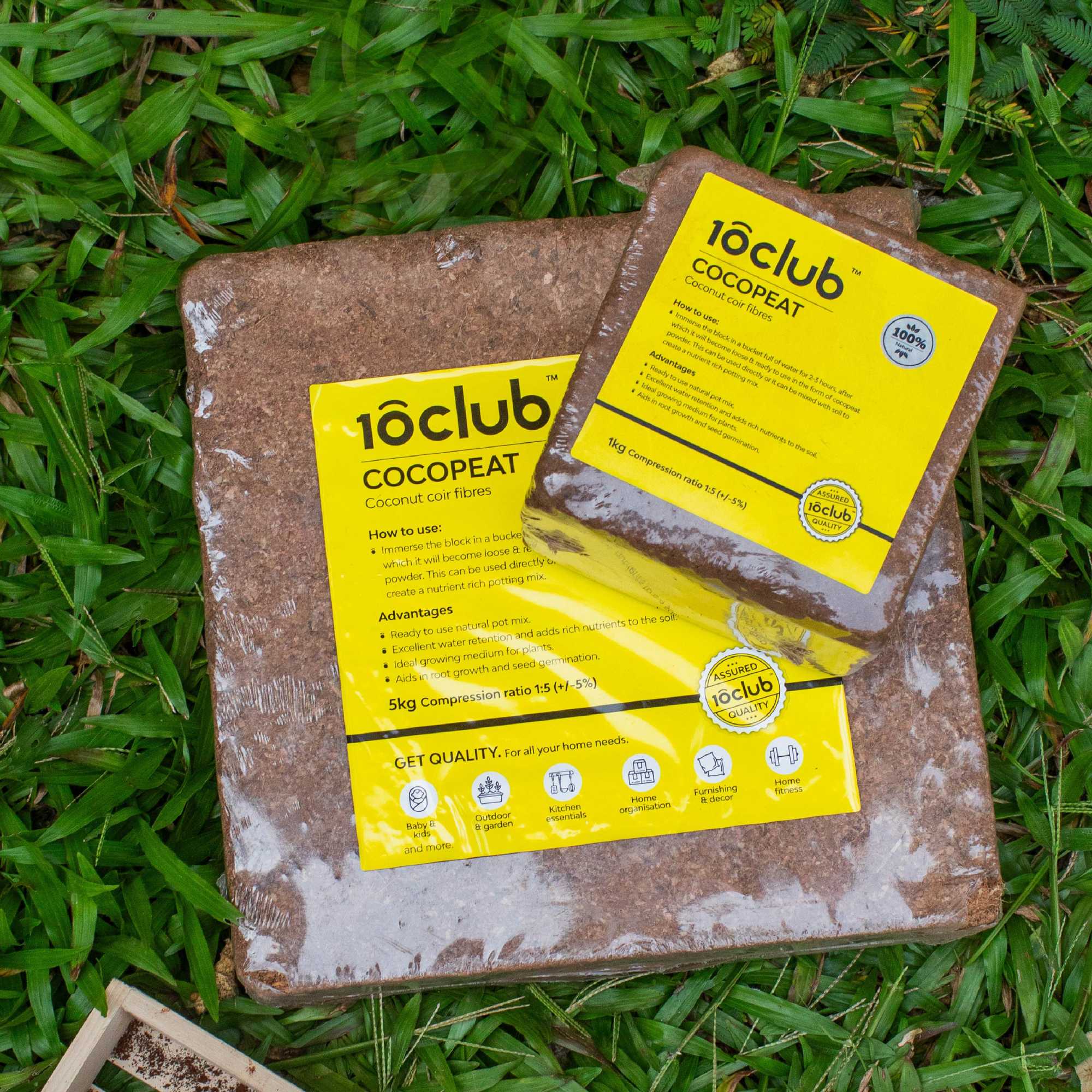 Cocopeat | Organic Fertilizer - Image 22