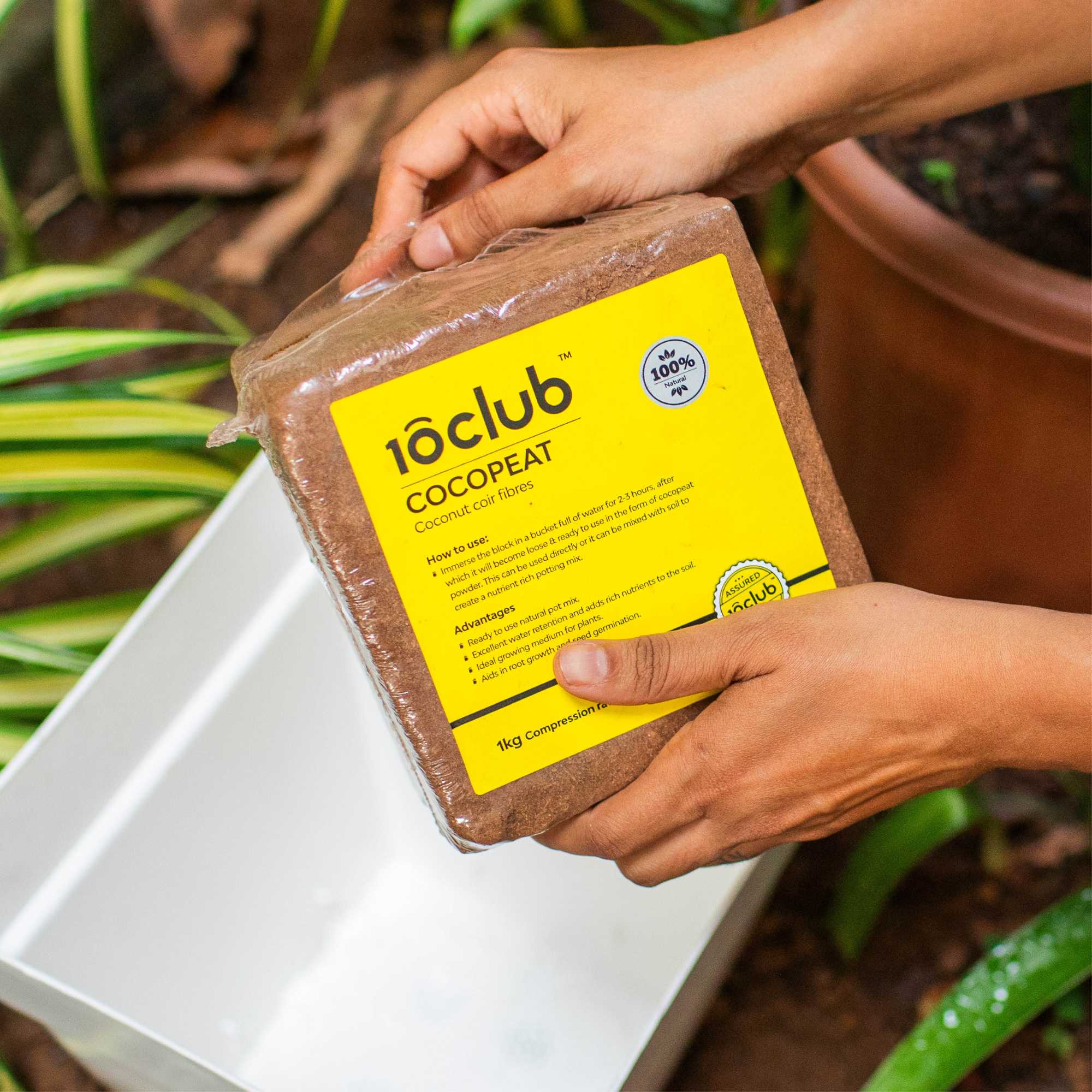 Cocopeat | Organic Fertilizer - Image 3