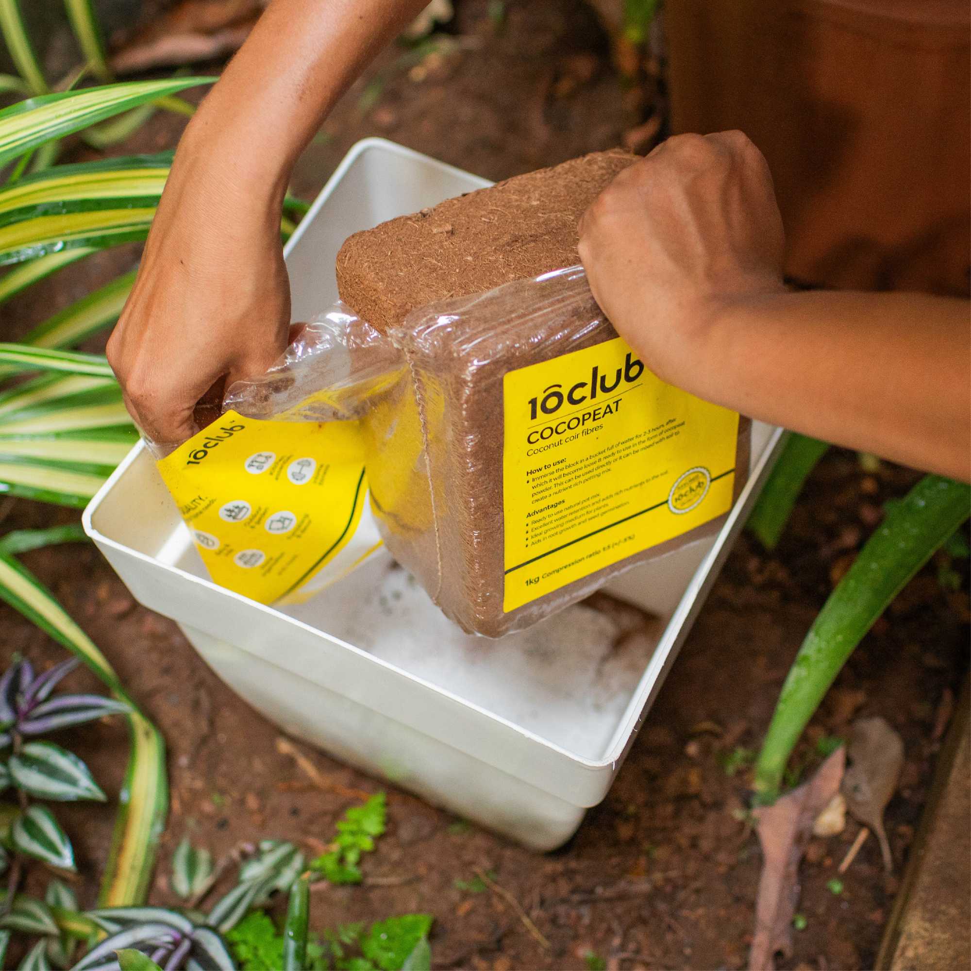 Cocopeat | Organic Fertilizer - Image 6
