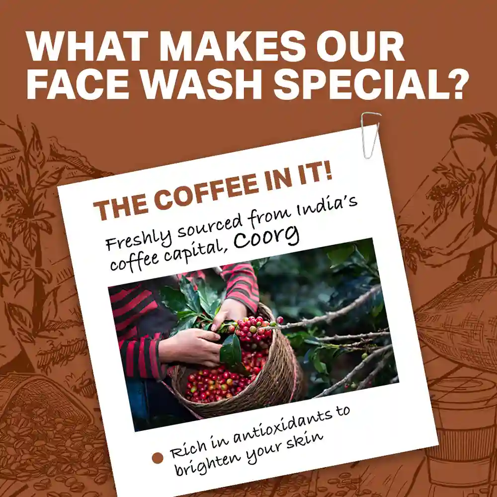 Coffee Face Wash, 8g - Image 3