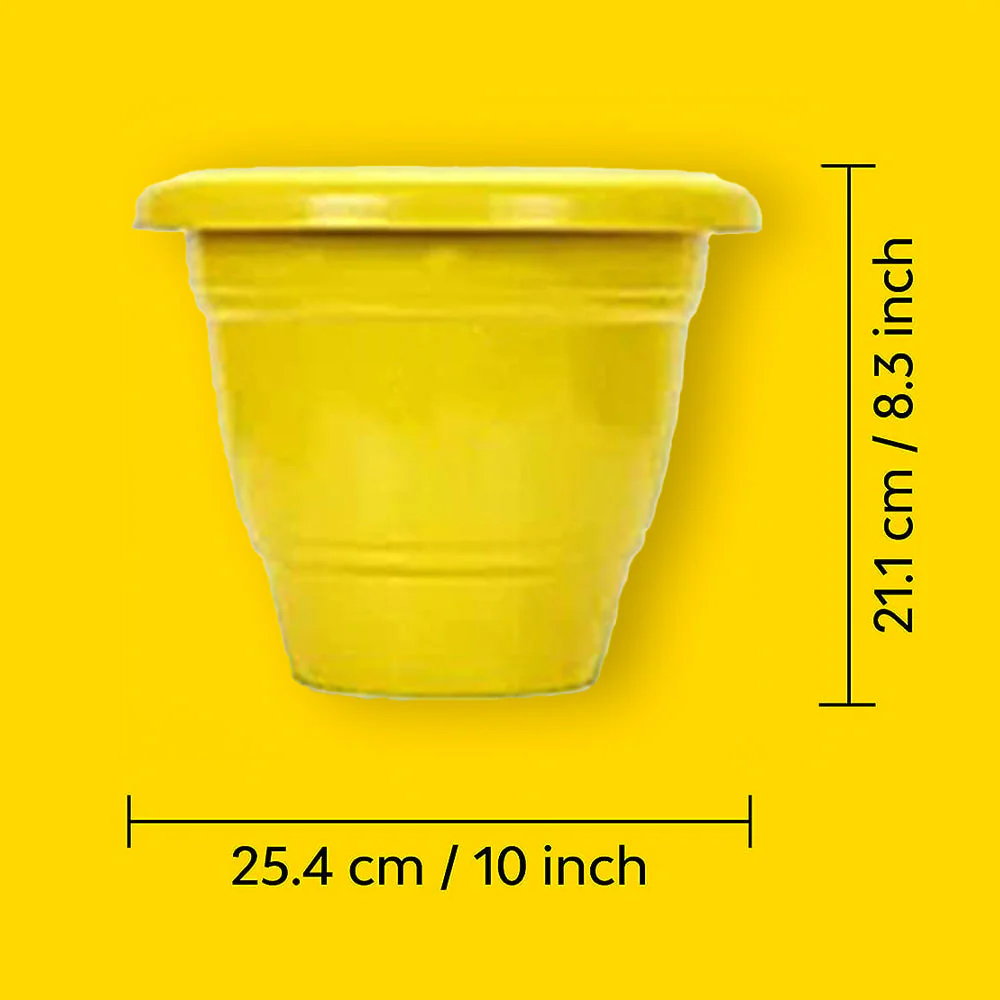 Coloured Garden Pots | Set Of 2 - Image 16