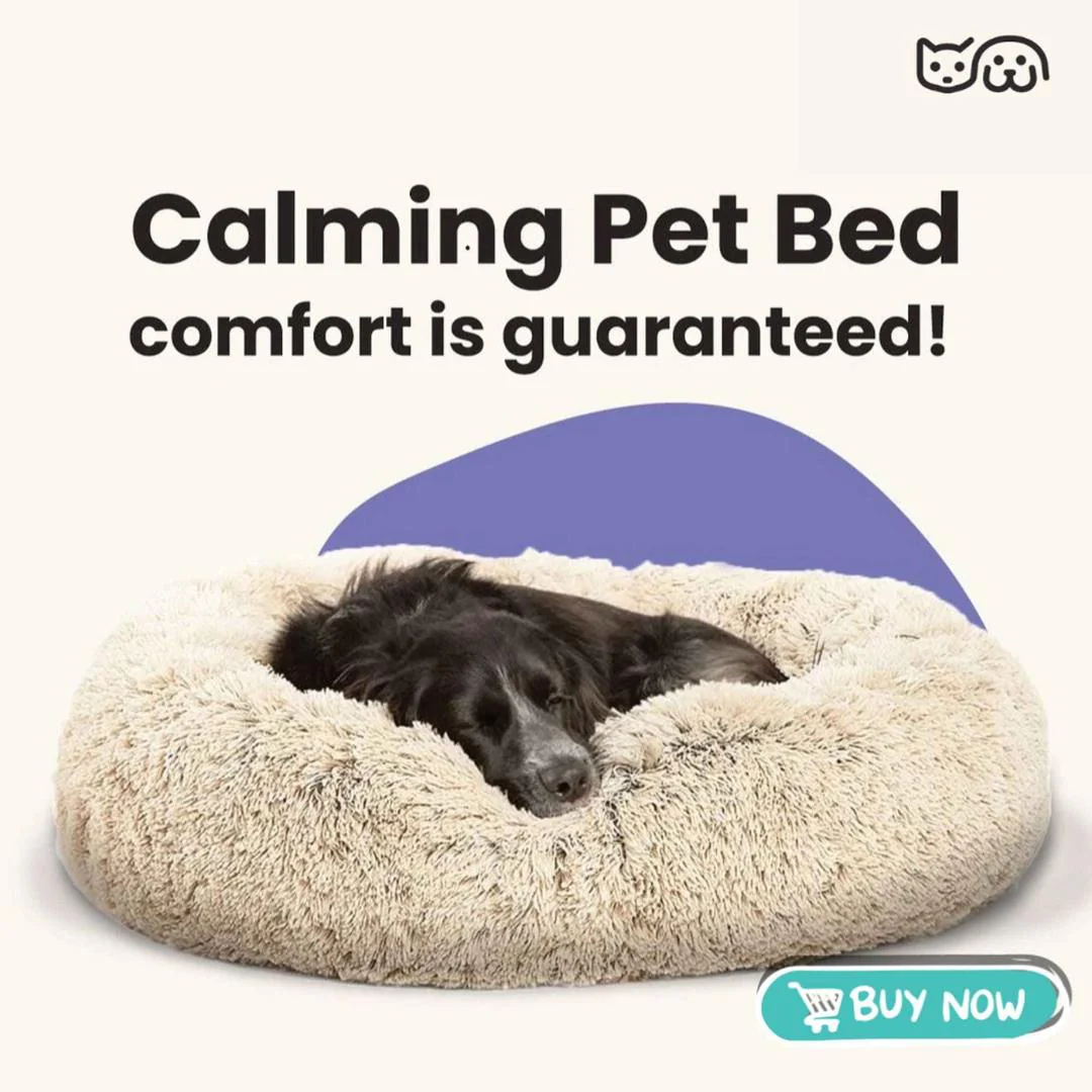 Cozy Comfort Bed – All-Season Comfort for Dogs & Cats - Image 15