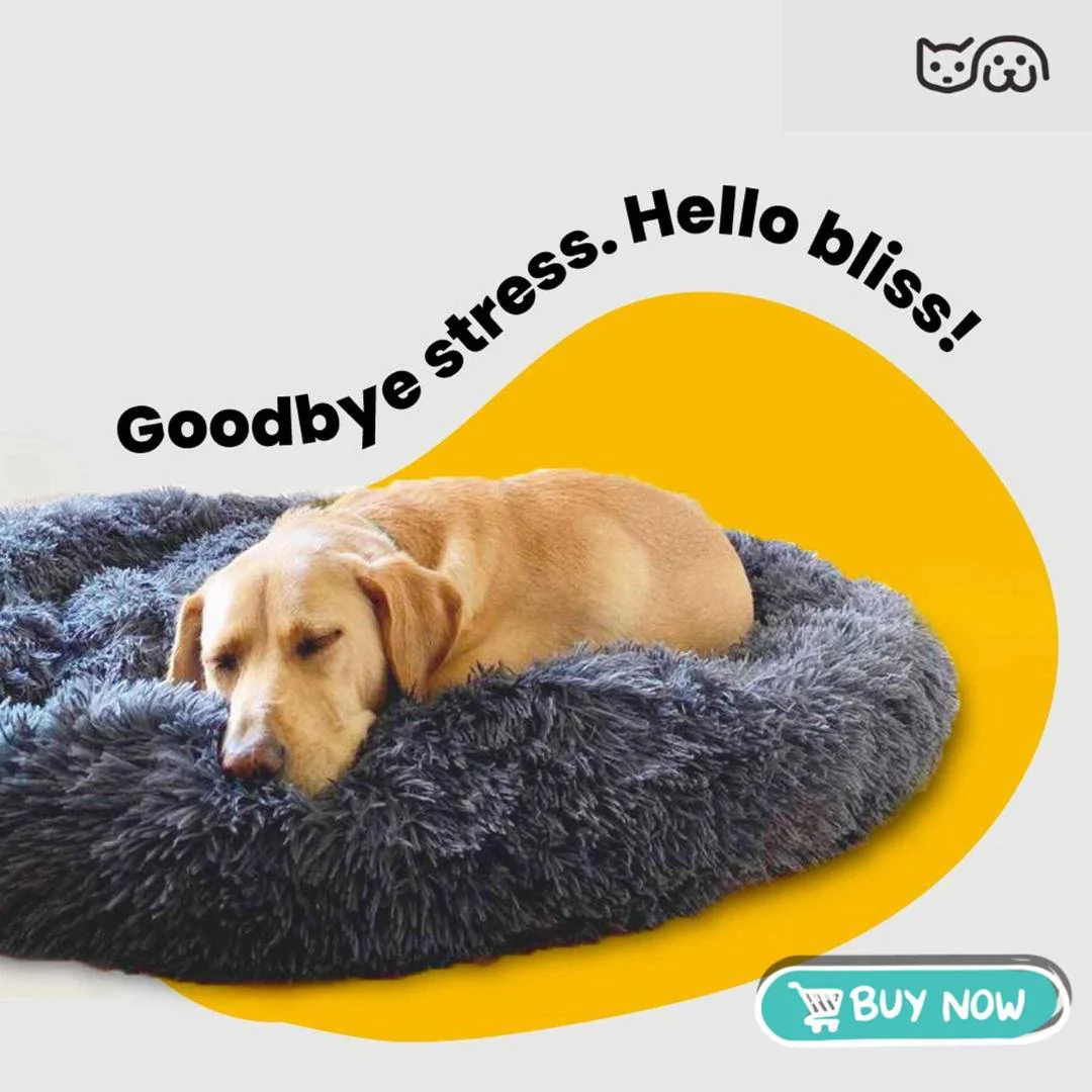 Cozy Comfort Bed – All-Season Comfort for Dogs & Cats - Image 16