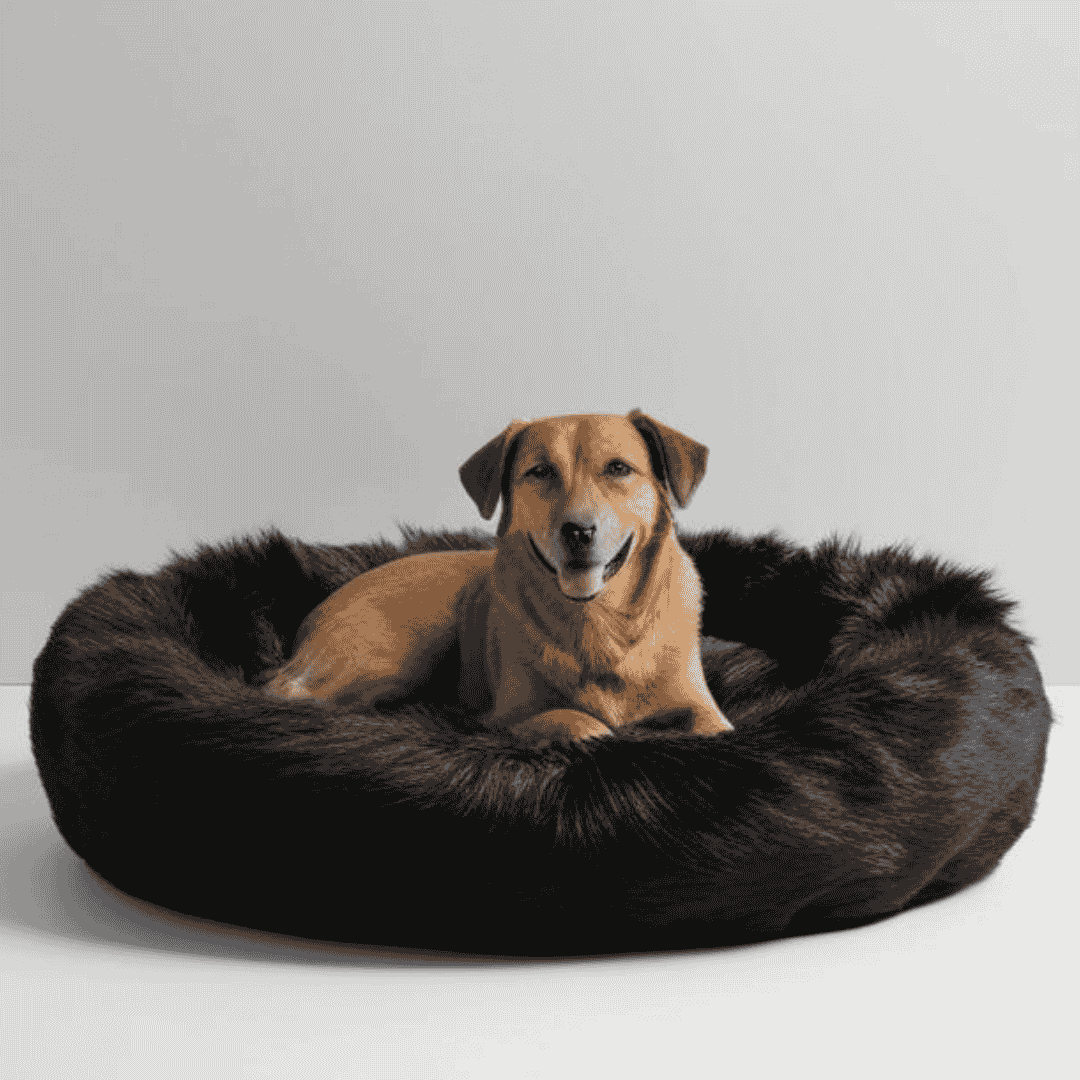 Cozy Comfort Bed – All-Season Comfort for Dogs & Cats - Image 6