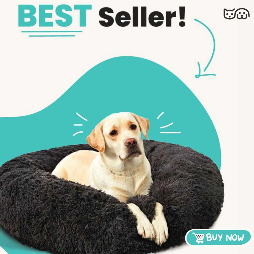 Cozy Comfort Bed – All-Season Comfort for Dogs & Cats - Image 7