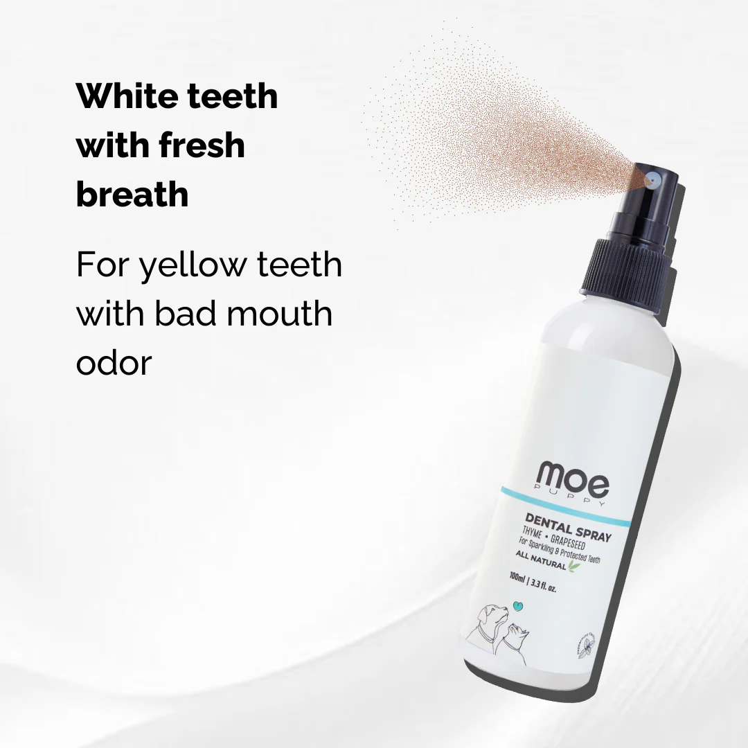 Dental Spray for Dogs & Cats - Image 2
