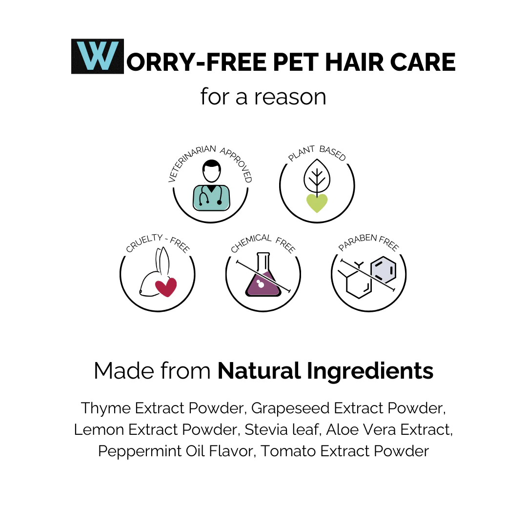 Dental Spray for Dogs & Cats - Image 3