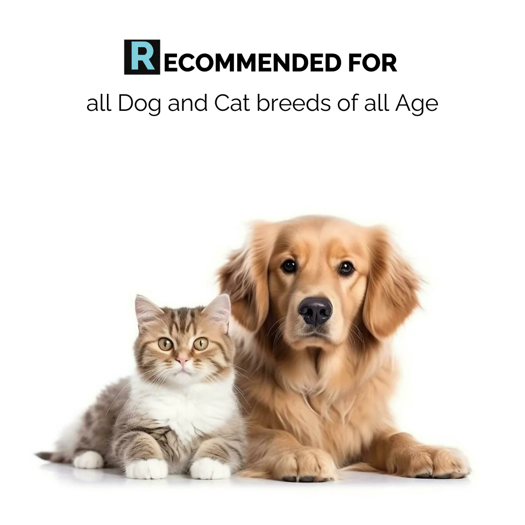 Dental Spray for Dogs & Cats - Image 6