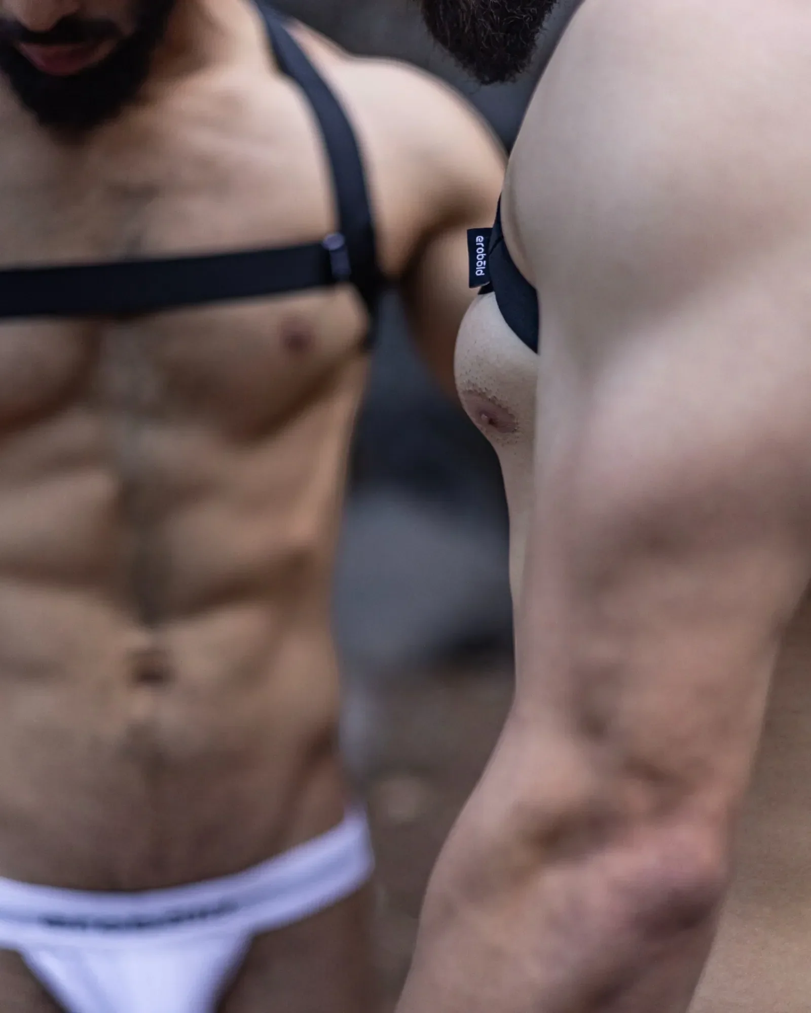 Dominion Harness - Chest X - Image 4