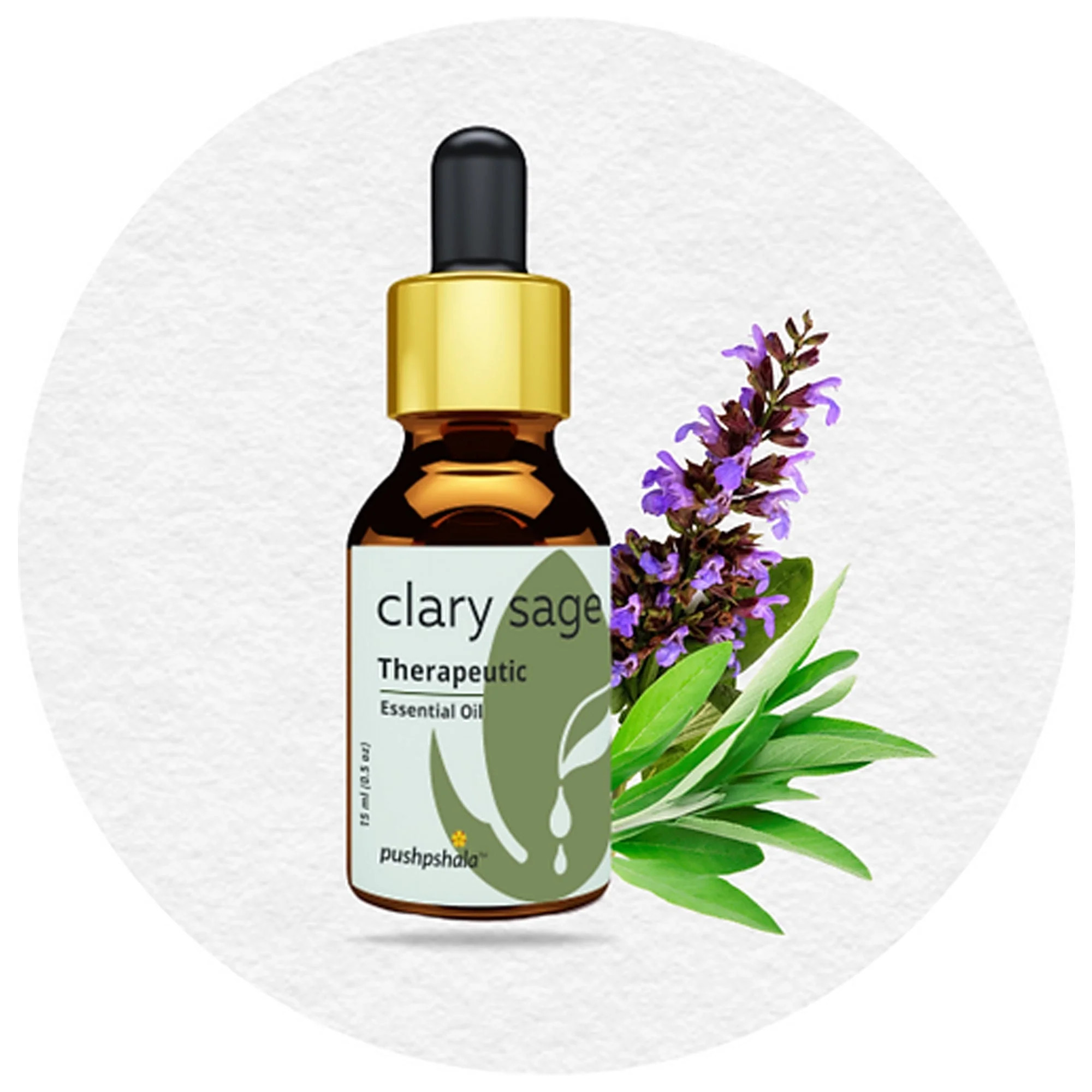 Essential Oil | Therapeutic - Image 4