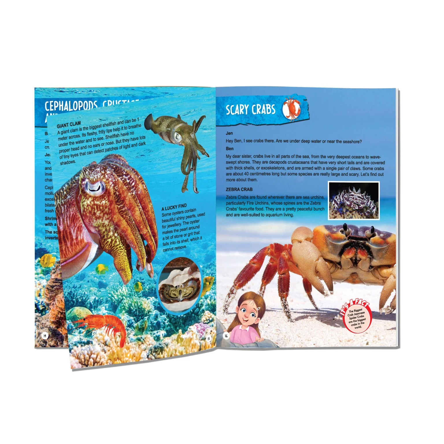 Explore Encyclopedia Books Pack - A Set of 8 Books - Image 15