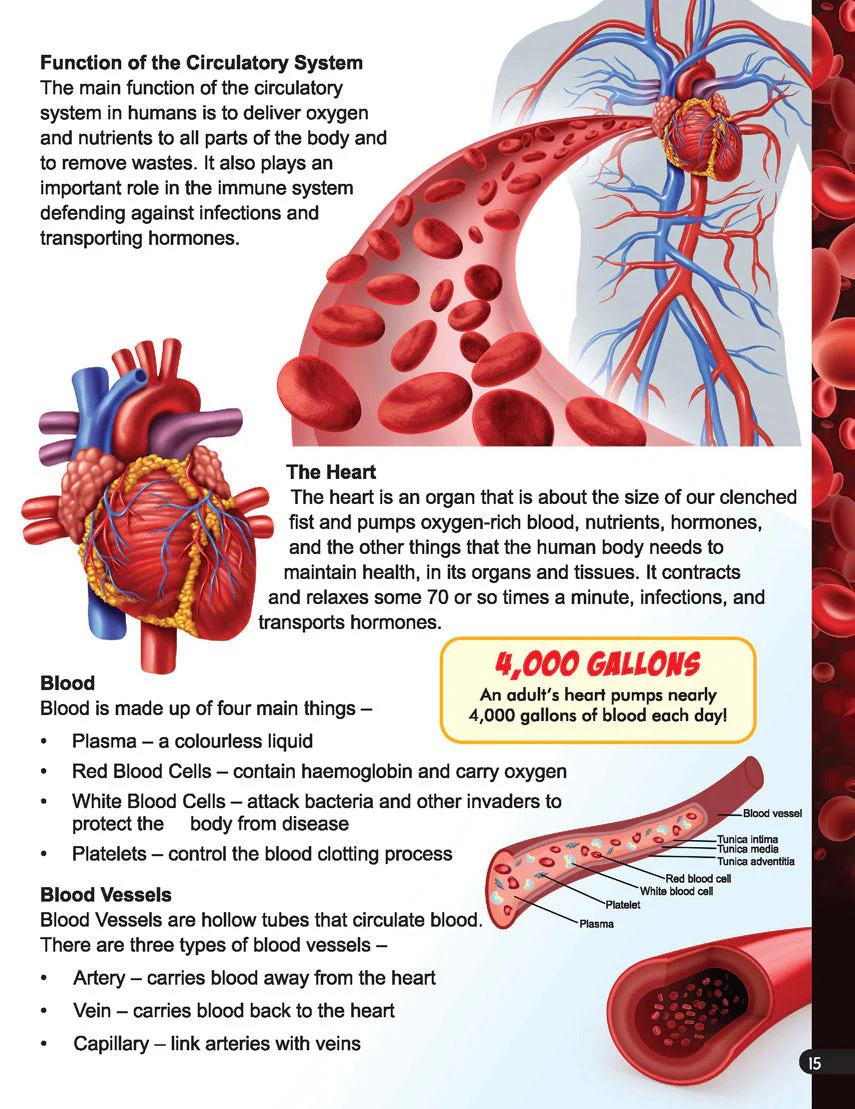 Explore Human Body Encyclopedia - Image 9