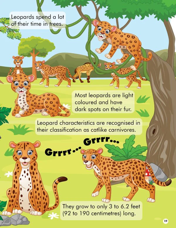 Explore the Jungle Activity Book with Stickers and 3D Models - Image 5
