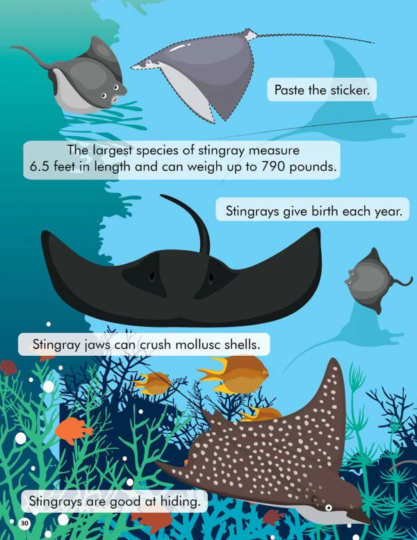 Explore the Sea Activity Book with Stickers and 3D Models - Image 8