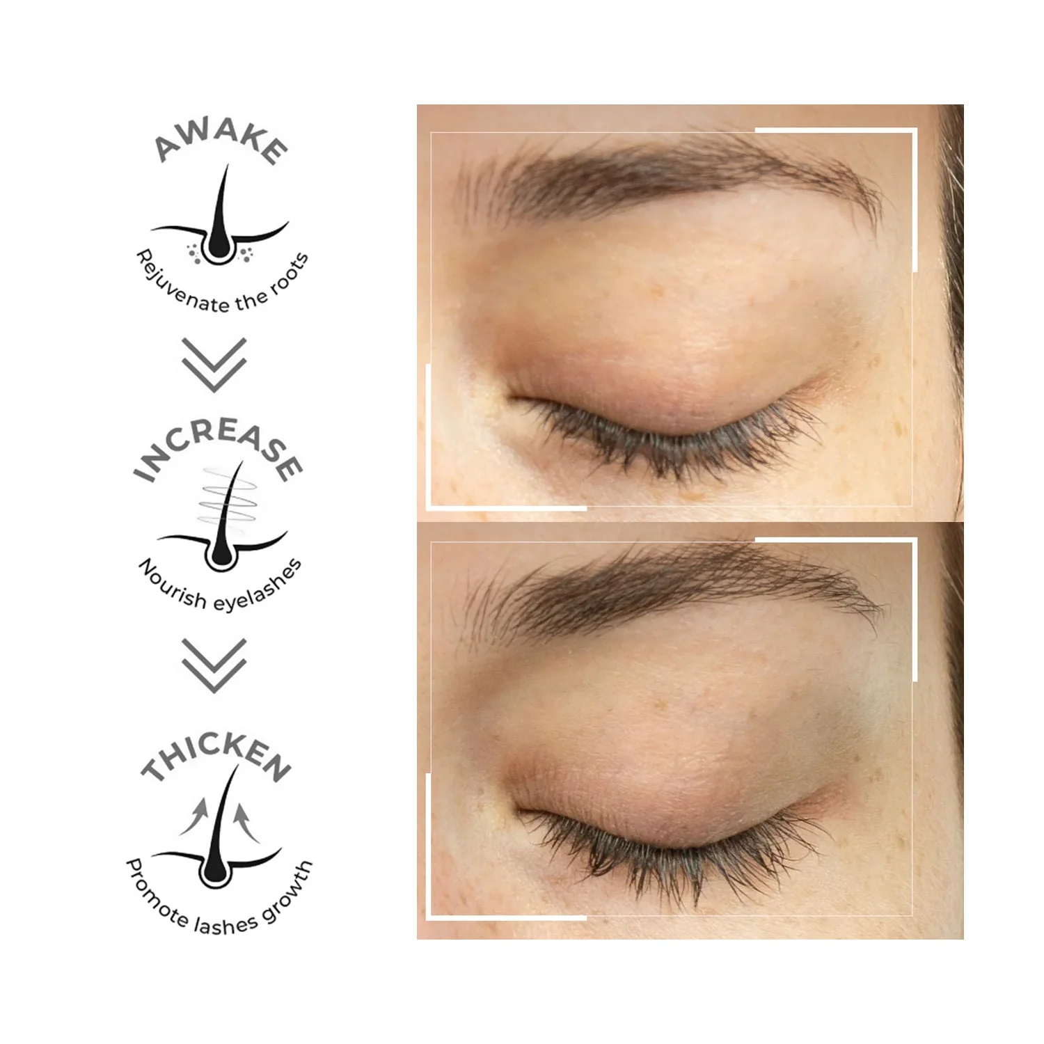 Eyelash & Eyebrow Growth Oil - Image 3