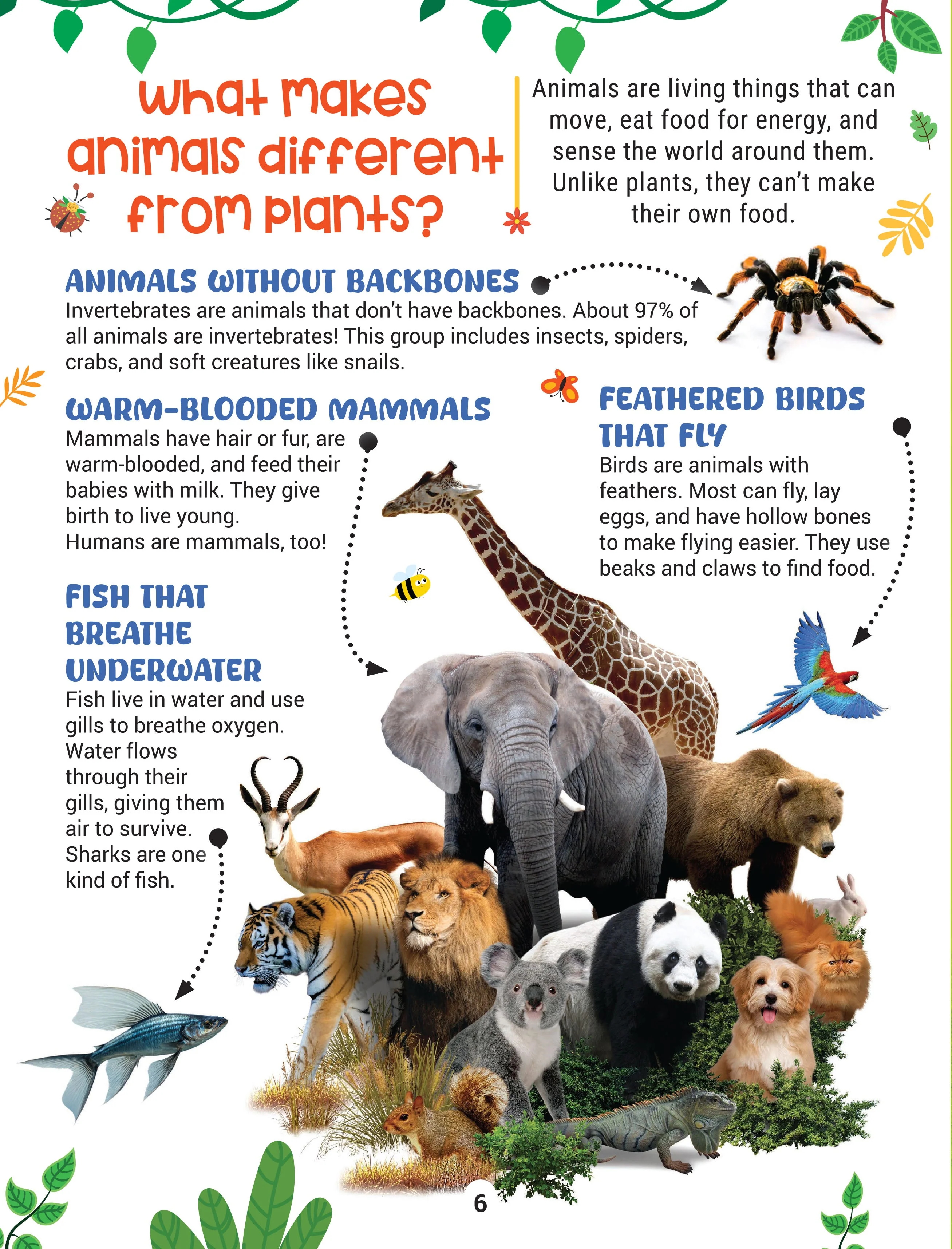 Factopedia Science Scoop: Incredible Science Facts for Kids Age 6+ - Image 5