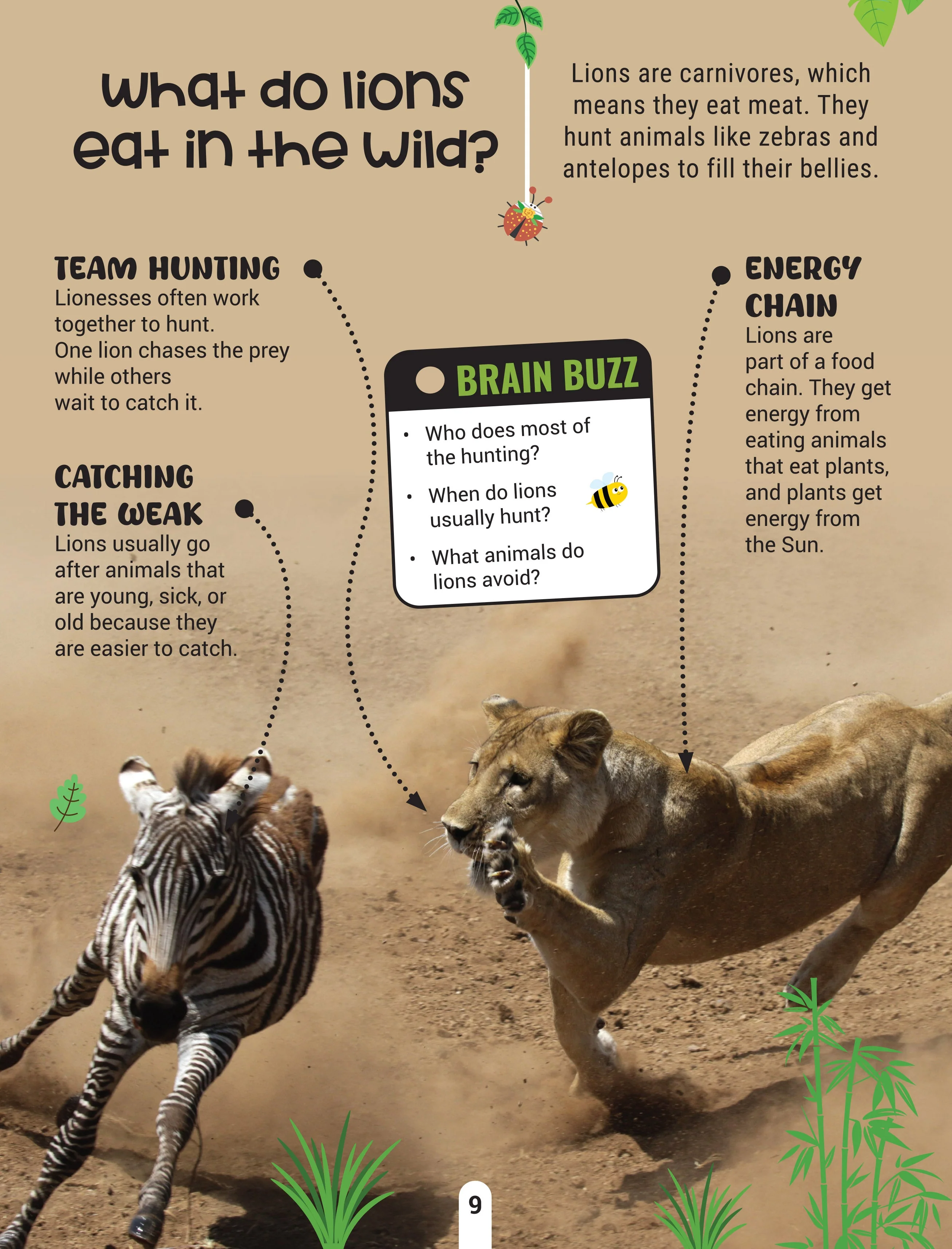 Factopedia Science Scoop: Incredible Science Facts for Kids Age 6+ - Image 7