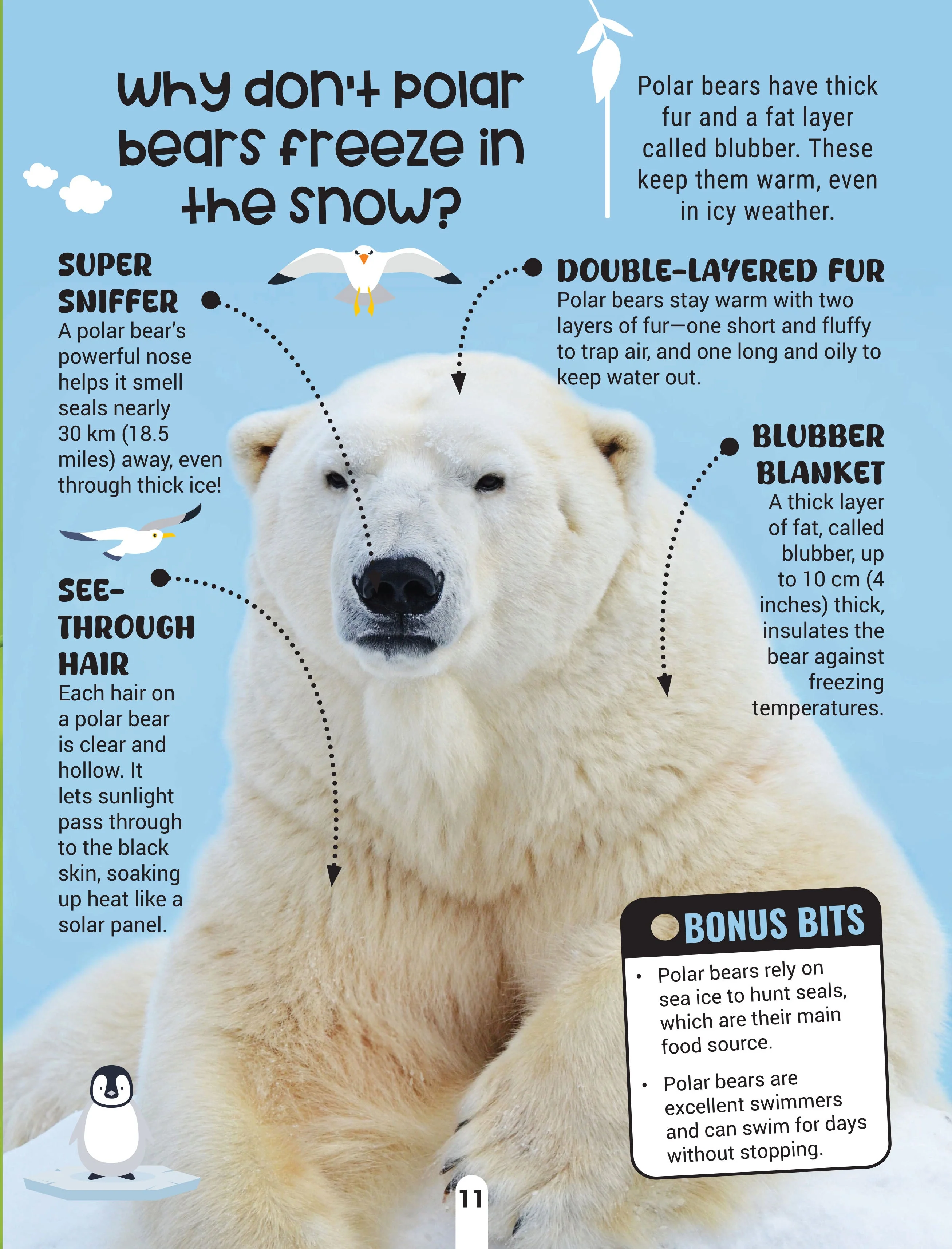Factopedia Science Scoop: Incredible Science Facts for Kids Age 6+ - Image 9