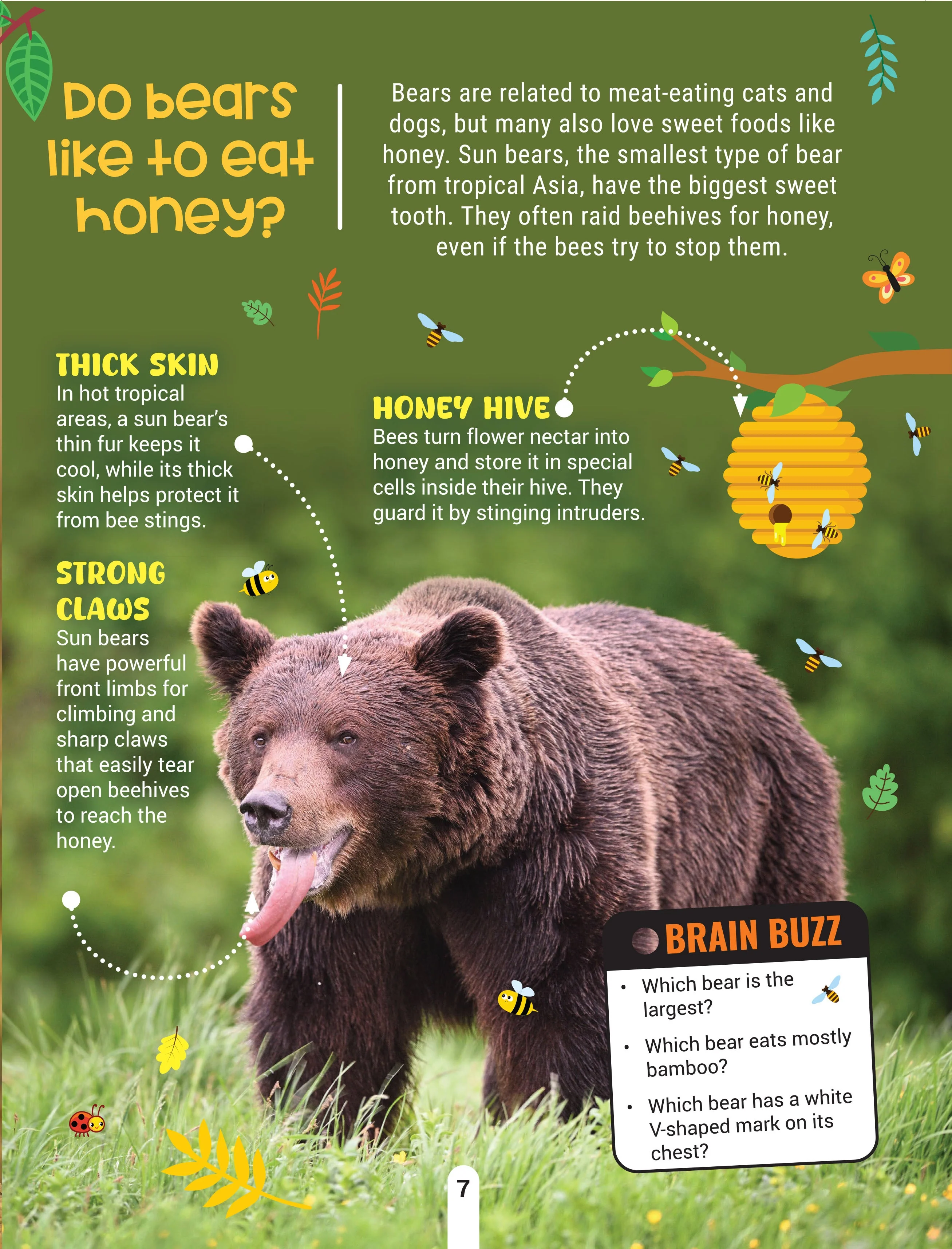 Factopedia Wild Wonders: A Fun Fact Book About Wildlife, Nature & Creatures for Kids Age 6+ - Image 7
