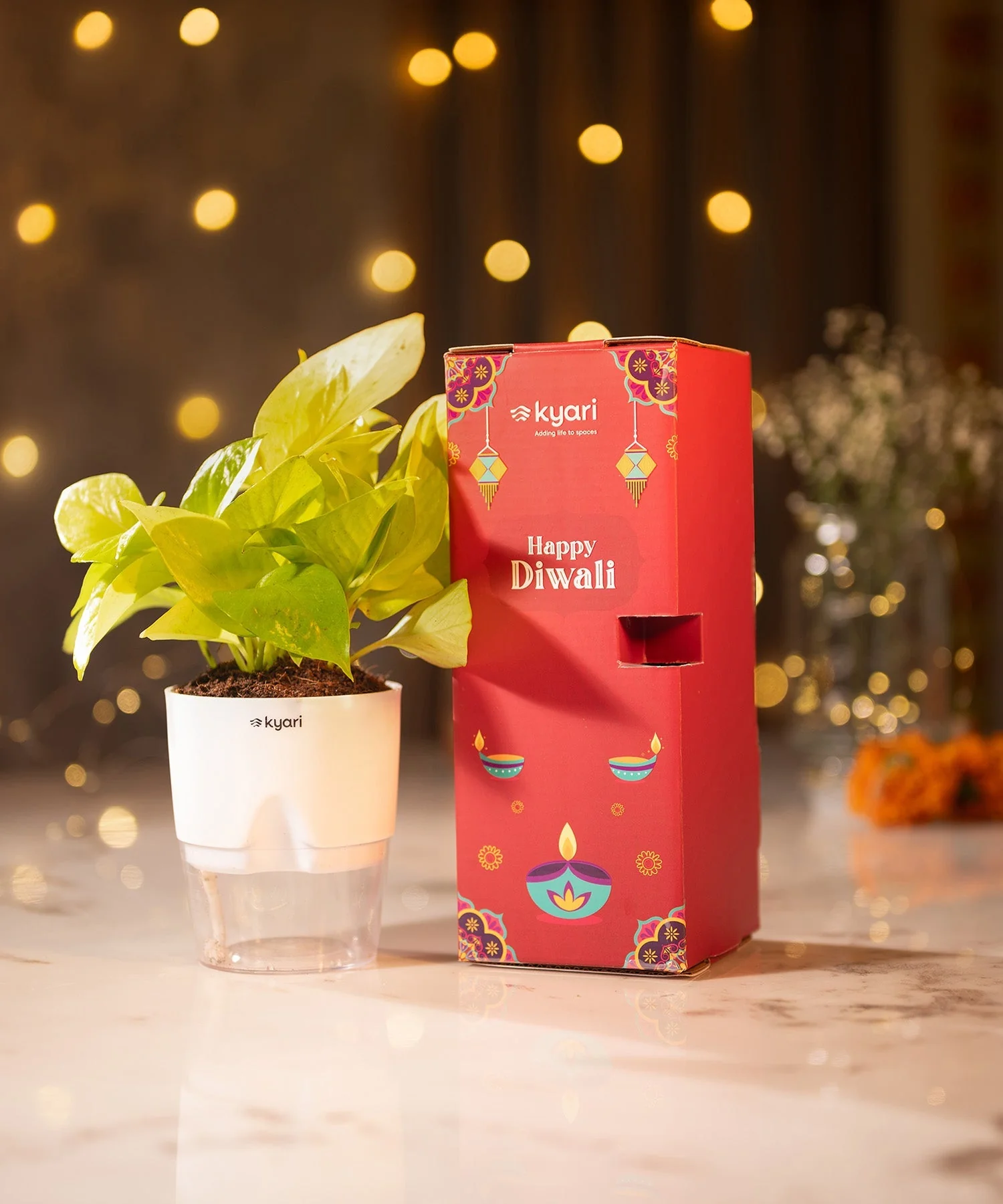 Festive Gleam Hamper - Image 103